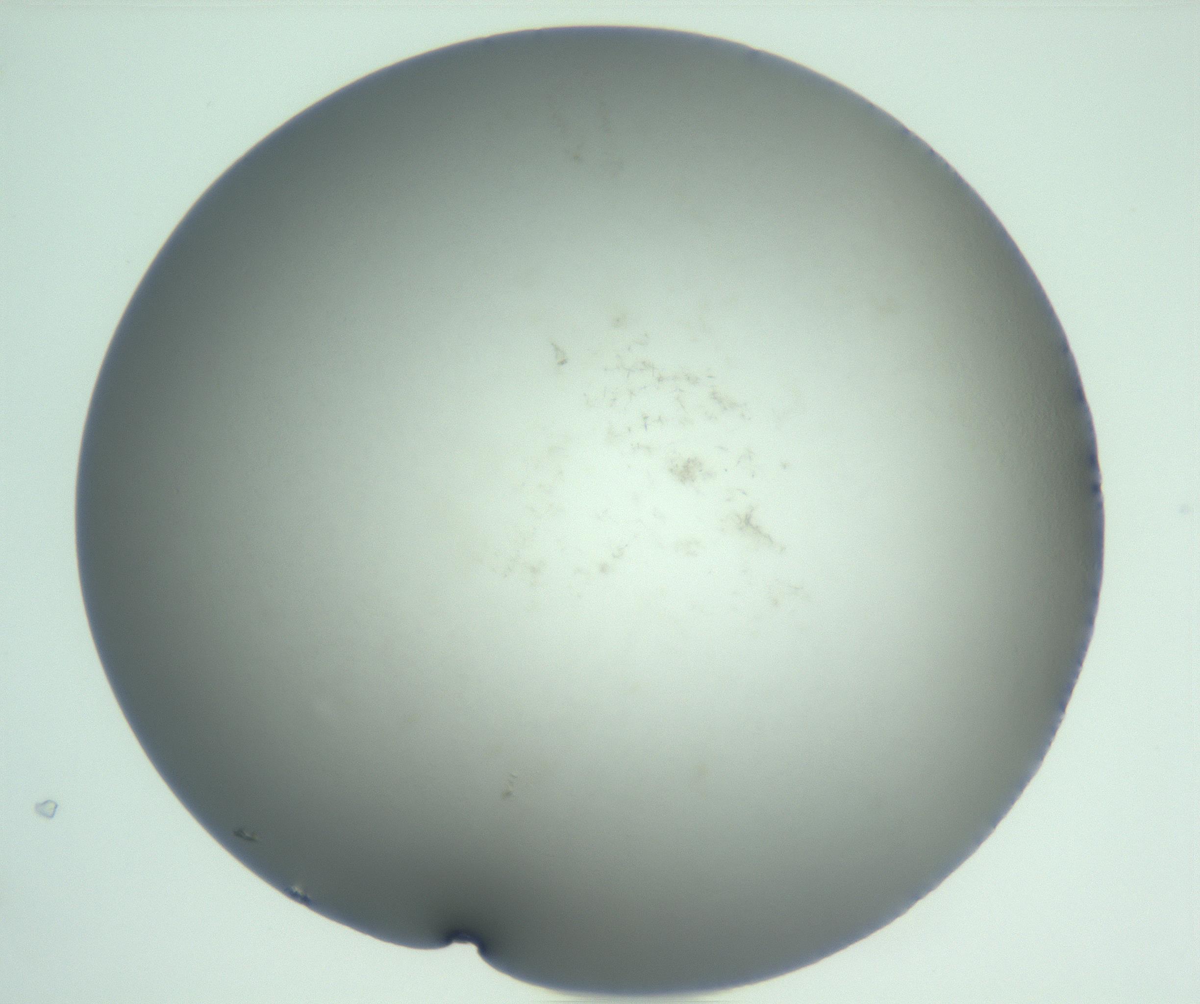 RI01_03_000_0212_Proj1_Clon1_MC_0000MC103093_005_161208_01_06_01_00_99_002_001_RAI.jpg