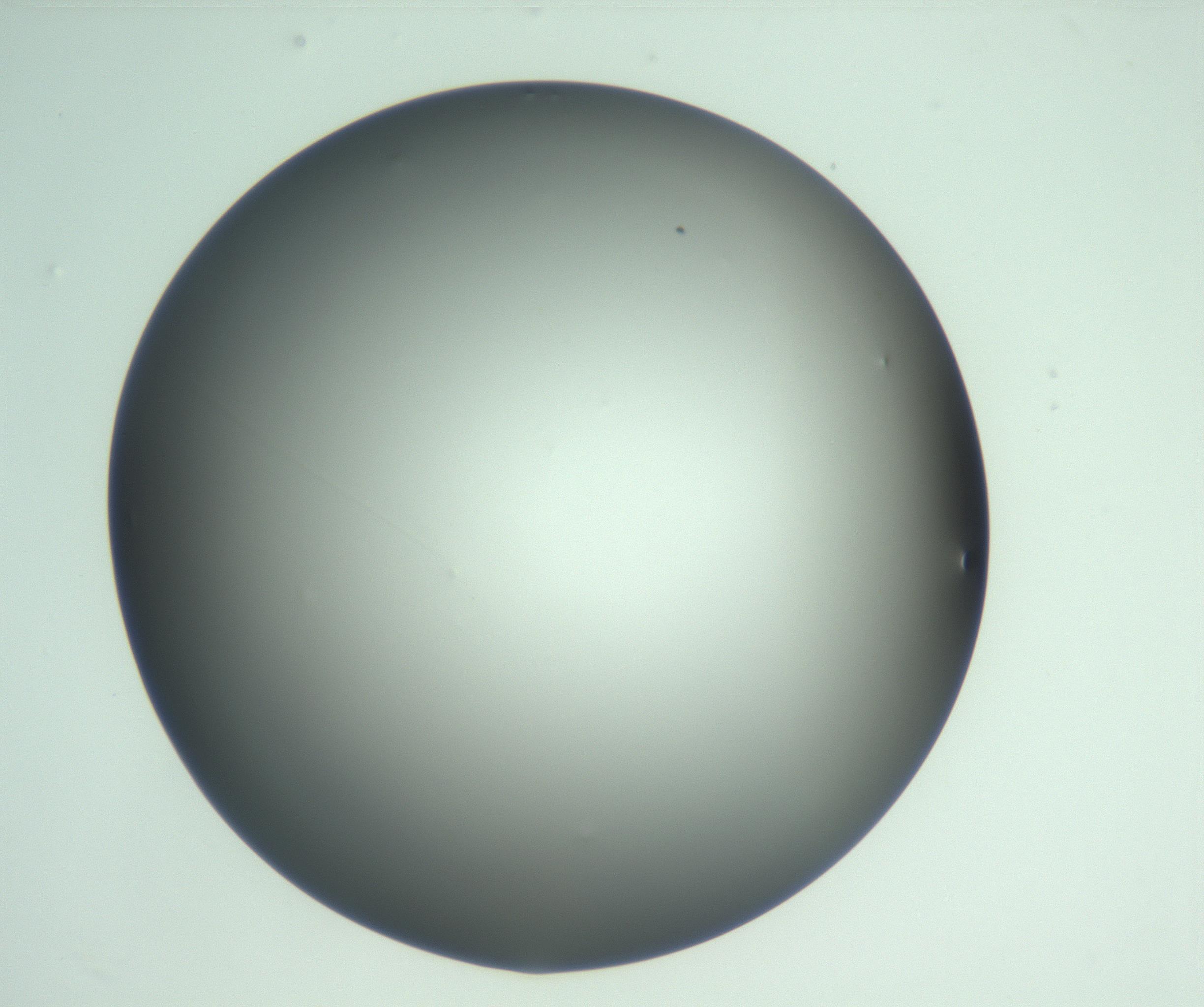 RI01_03_000_0212_Proj1_Clon1_MC_0000MC103093_005_161208_01_07_01_00_99_002_001_RAI.jpg
