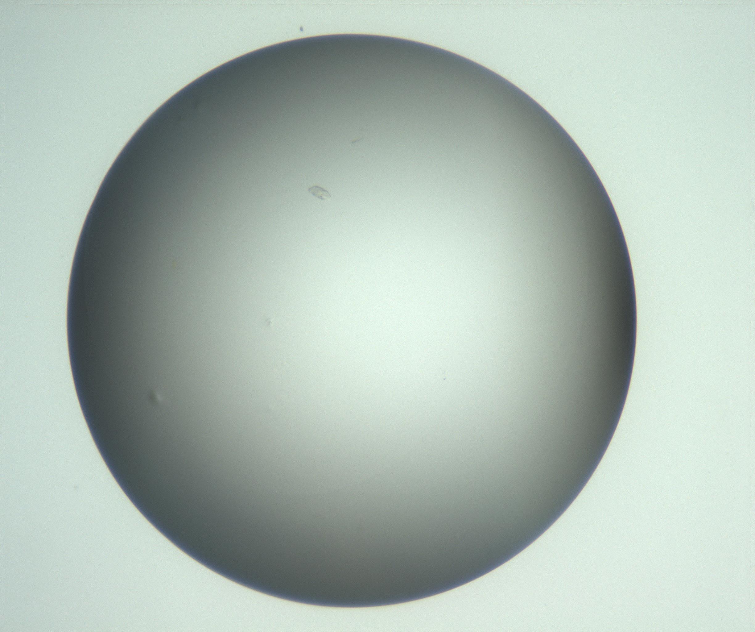 RI01_03_000_0212_Proj1_Clon1_MC_0000MC103093_005_161208_01_08_01_00_99_002_001_RAI.jpg