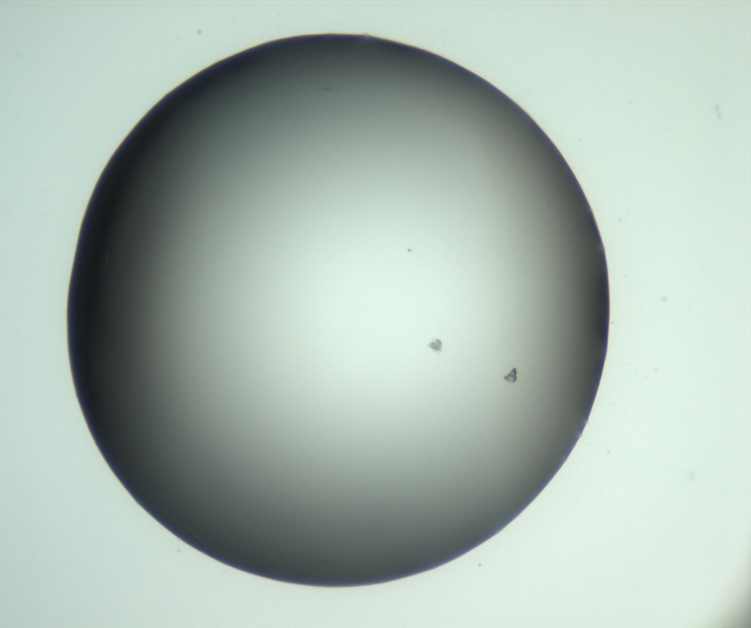 RI01_03_000_0212_Proj1_Clon1_MC_0000MC103093_005_161208_02_05_01_00_99_002_001_RAI.jpg