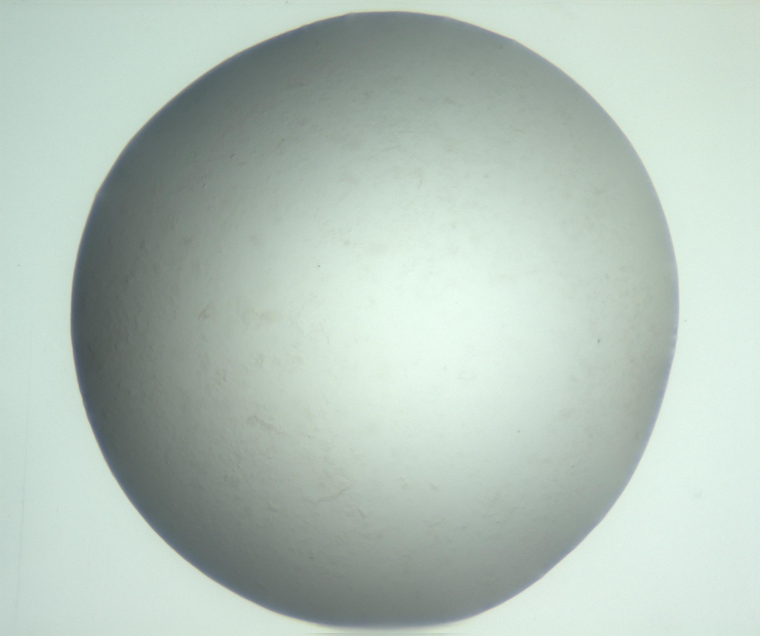 RI01_03_000_0212_Proj1_Clon1_MC_0000MC103093_005_161208_02_05_02_00_99_002_001_RAI.jpg