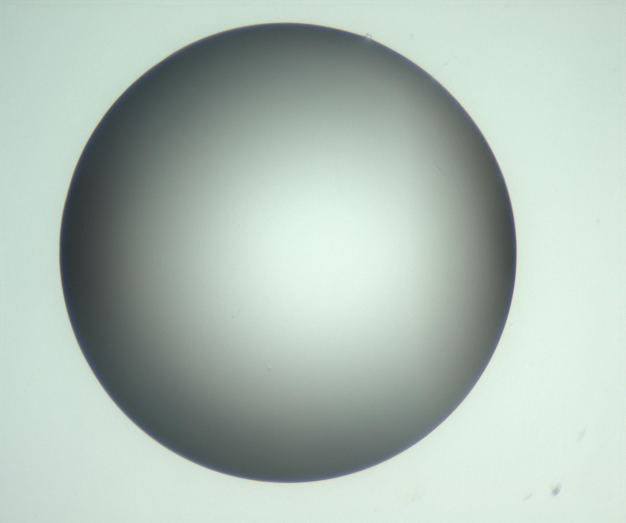 RI01_03_000_0212_Proj1_Clon1_MC_0000MC103093_005_161208_02_06_01_00_99_002_001_RAI.jpg