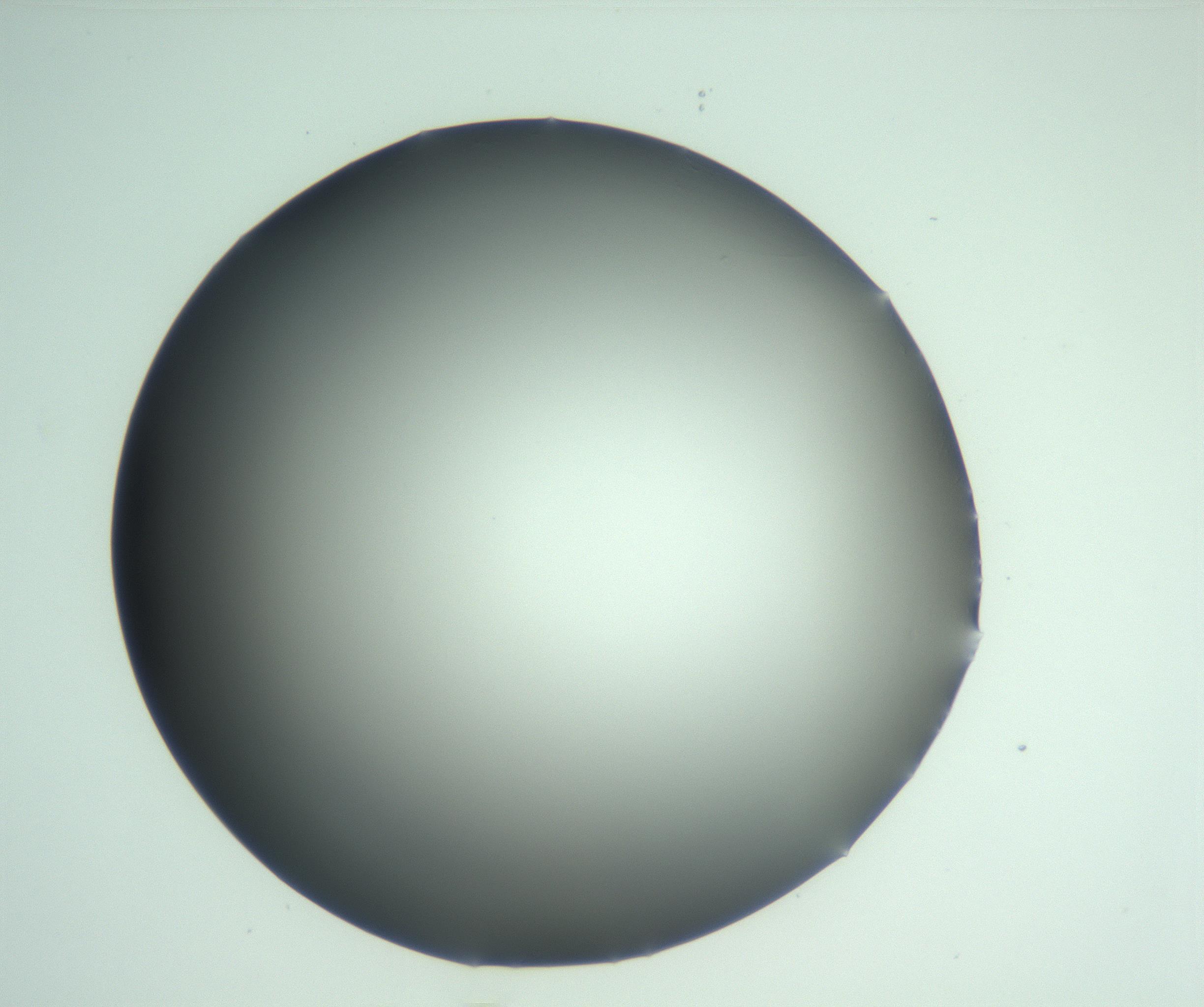 RI01_03_000_0212_Proj1_Clon1_MC_0000MC103093_005_161208_02_06_02_00_99_002_001_RAI.jpg