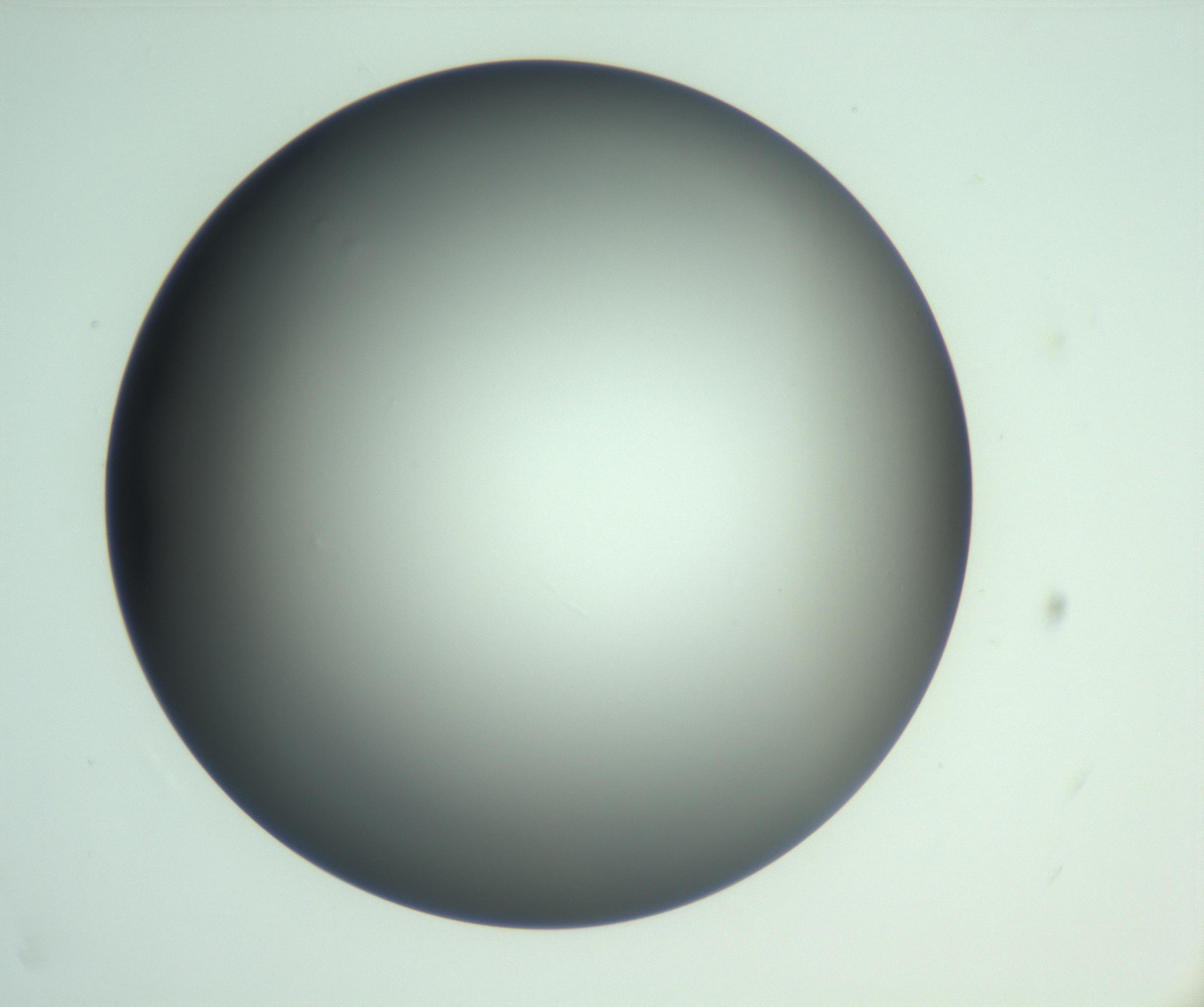 RI01_03_000_0212_Proj1_Clon1_MC_0000MC103093_005_161208_02_07_01_00_99_002_001_RAI.jpg