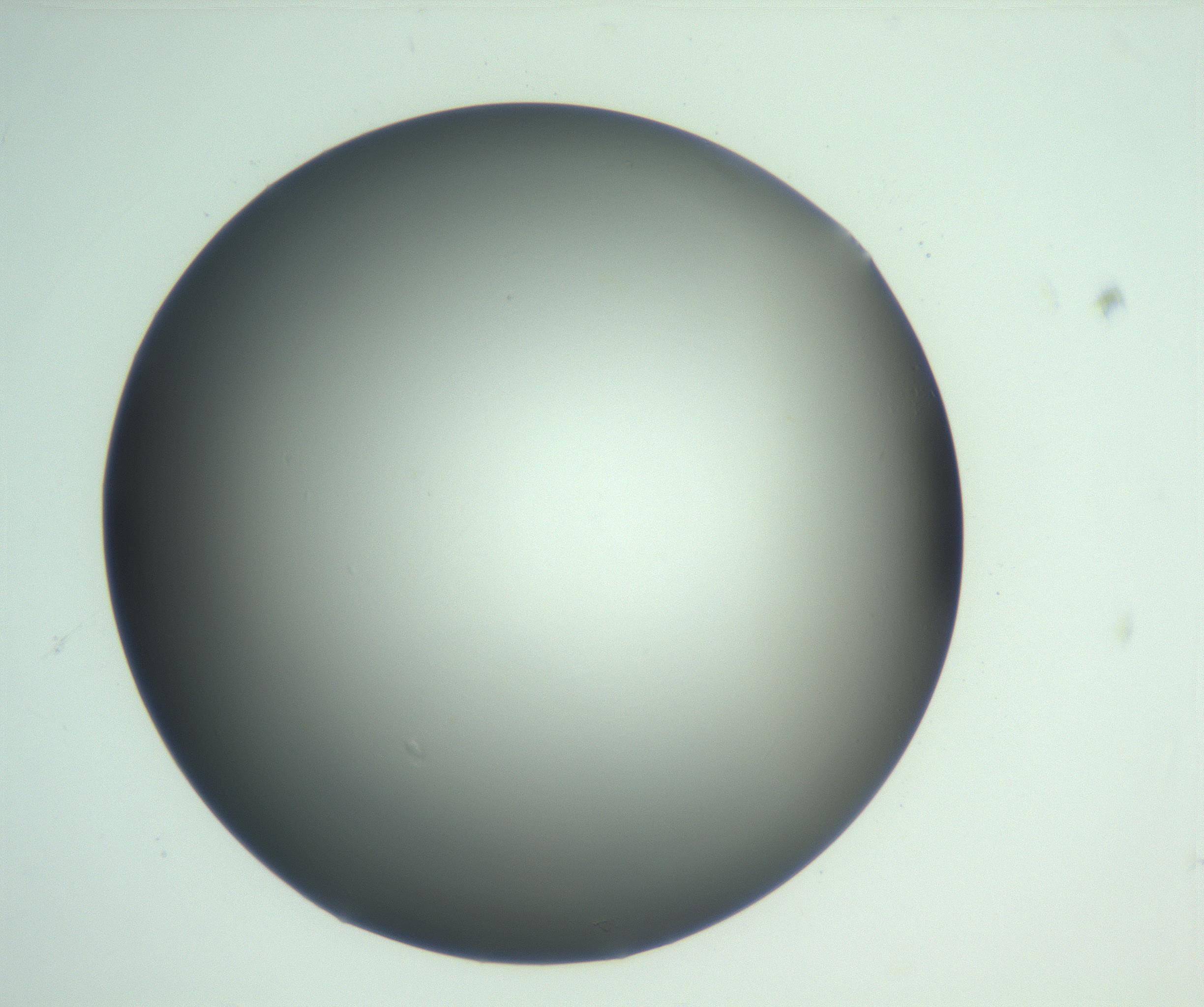 RI01_03_000_0212_Proj1_Clon1_MC_0000MC103093_005_161208_02_08_01_00_99_002_001_RAI.jpg