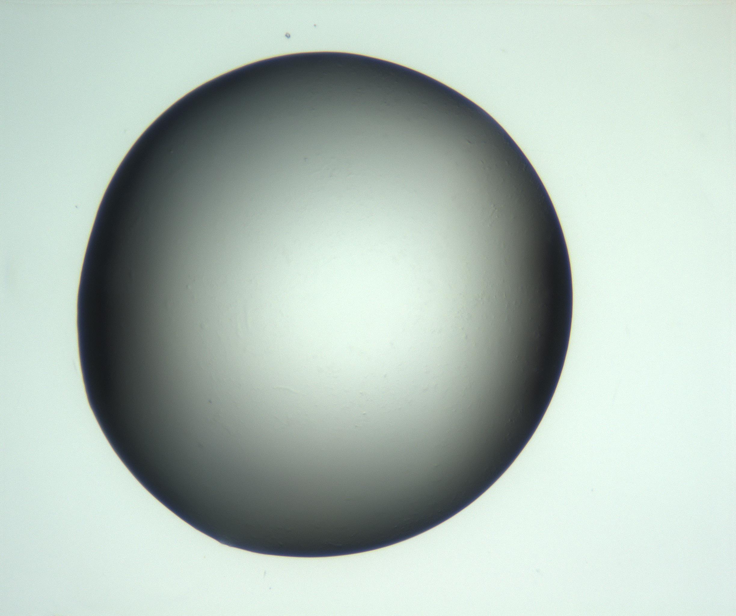 RI01_03_000_0212_Proj1_Clon1_MC_0000MC103093_005_161208_03_05_02_00_99_002_001_RAI.jpg
