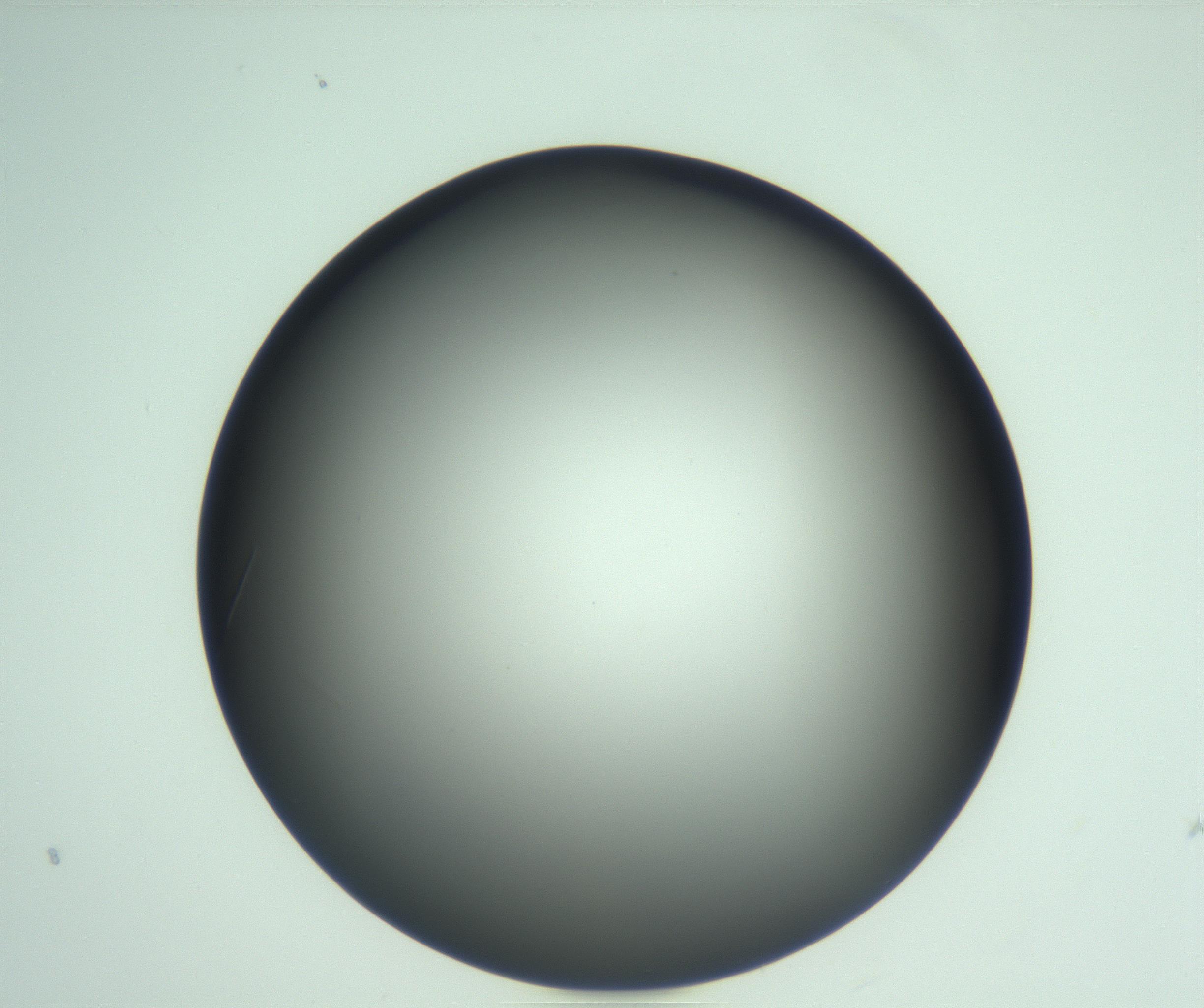 RI01_03_000_0212_Proj1_Clon1_MC_0000MC103093_005_161208_03_06_01_00_99_002_001_RAI.jpg