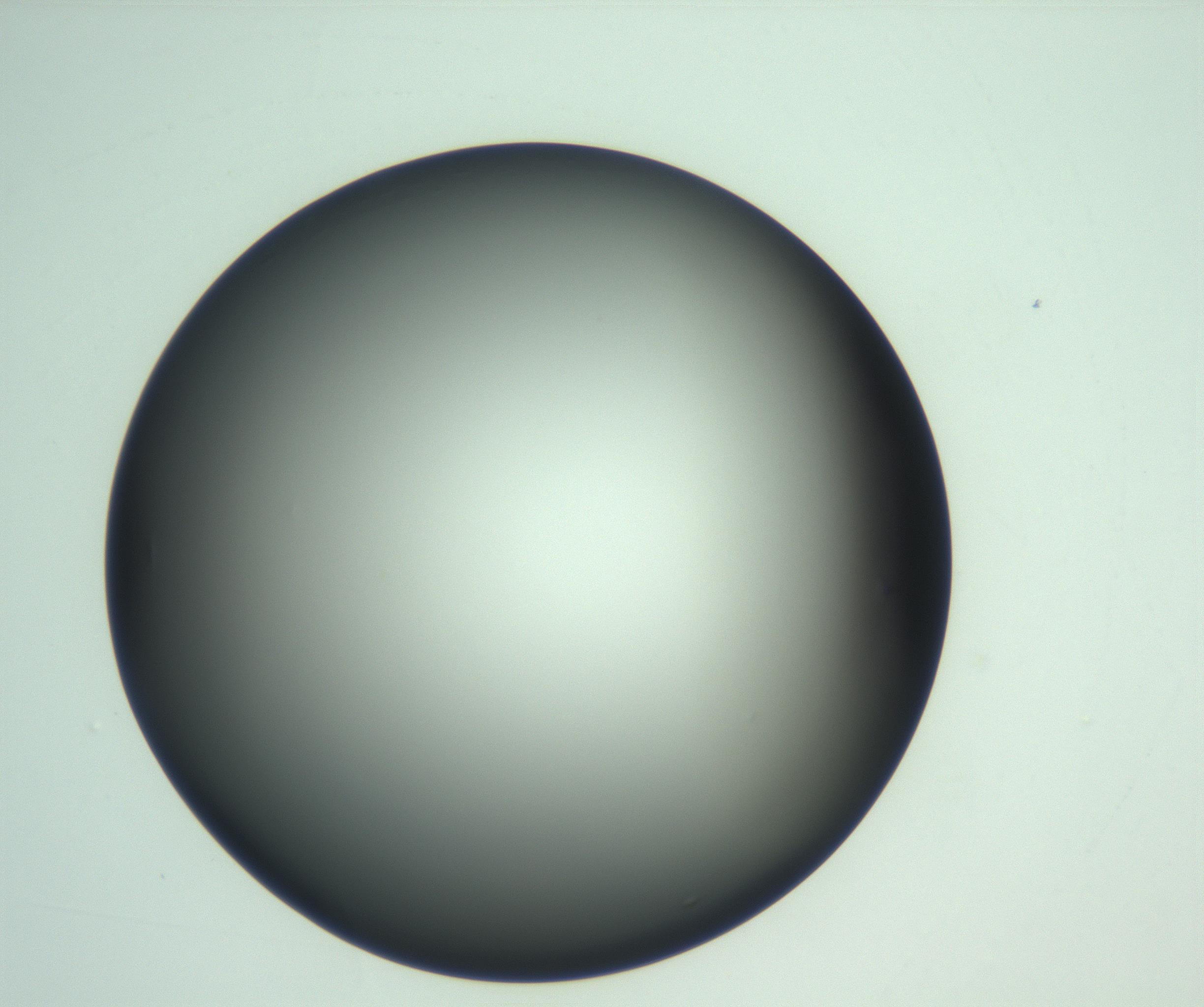 RI01_03_000_0212_Proj1_Clon1_MC_0000MC103093_005_161208_03_08_01_00_99_002_001_RAI.jpg