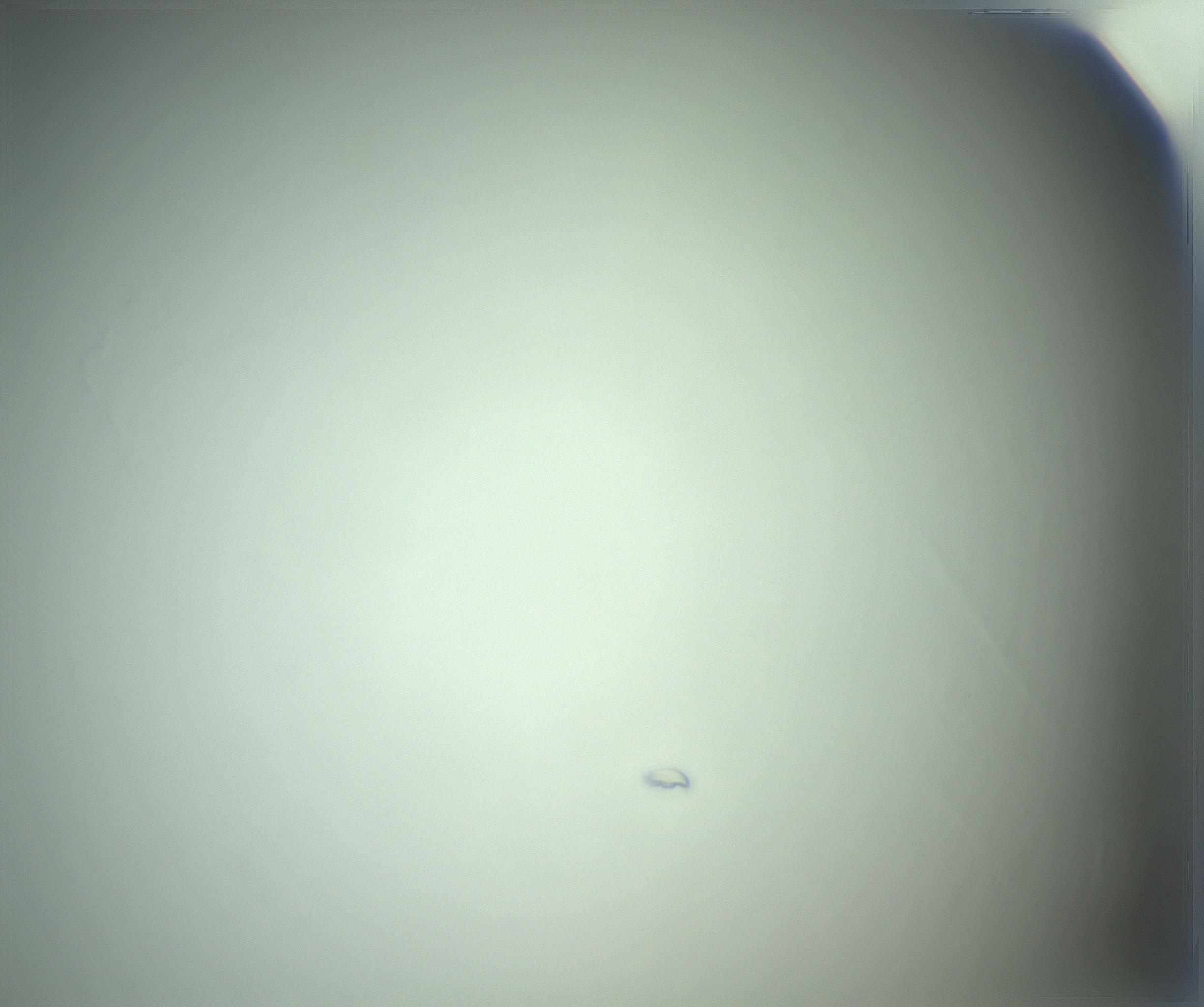 RI01_03_000_0212_Proj1_Clon1_MC_0000MC103093_005_161208_03_08_02_00_99_002_001_RAI.jpg