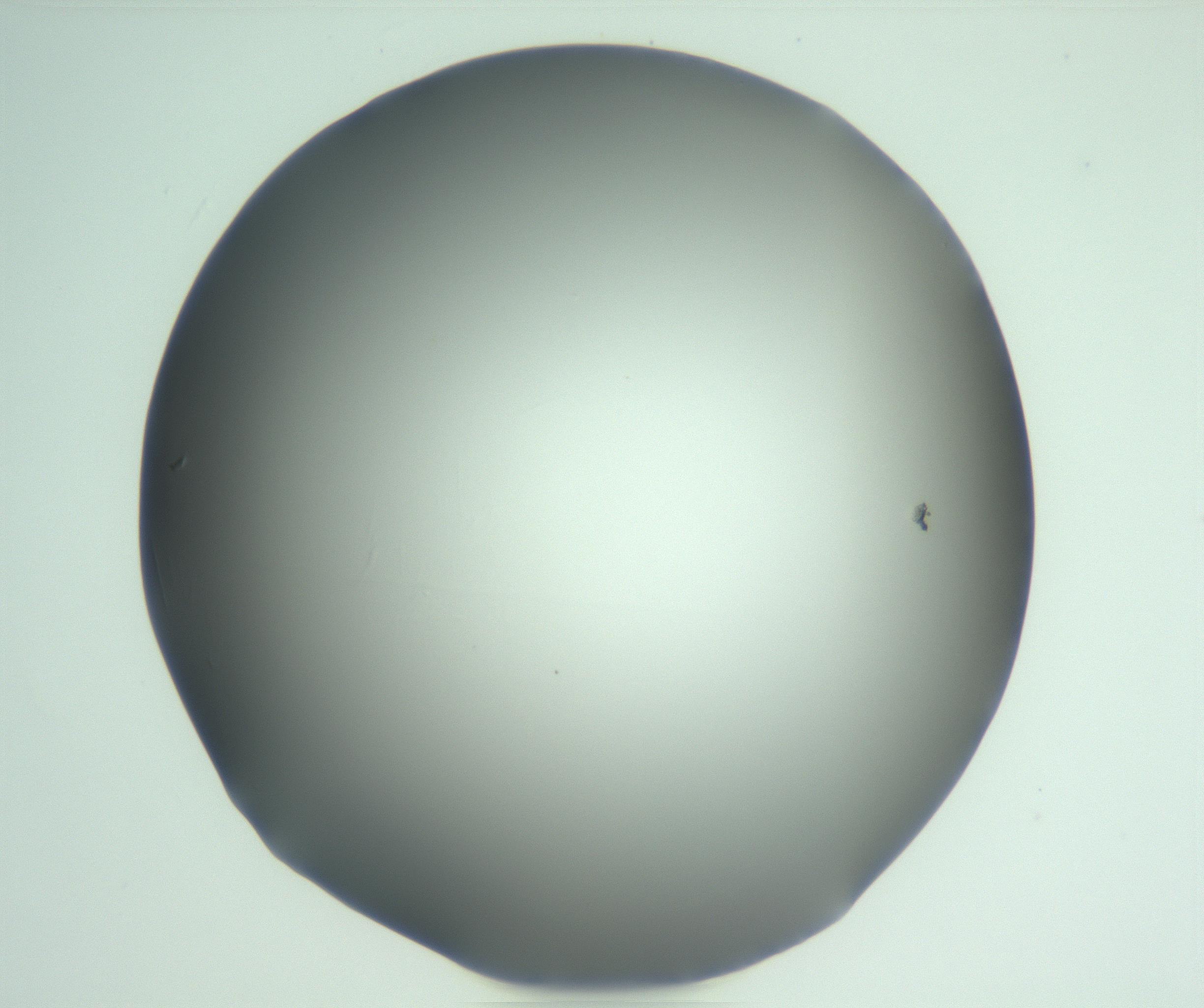 RI01_03_000_0212_Proj1_Clon1_MC_0000MC103093_005_161208_04_05_01_00_99_002_001_RAI.jpg