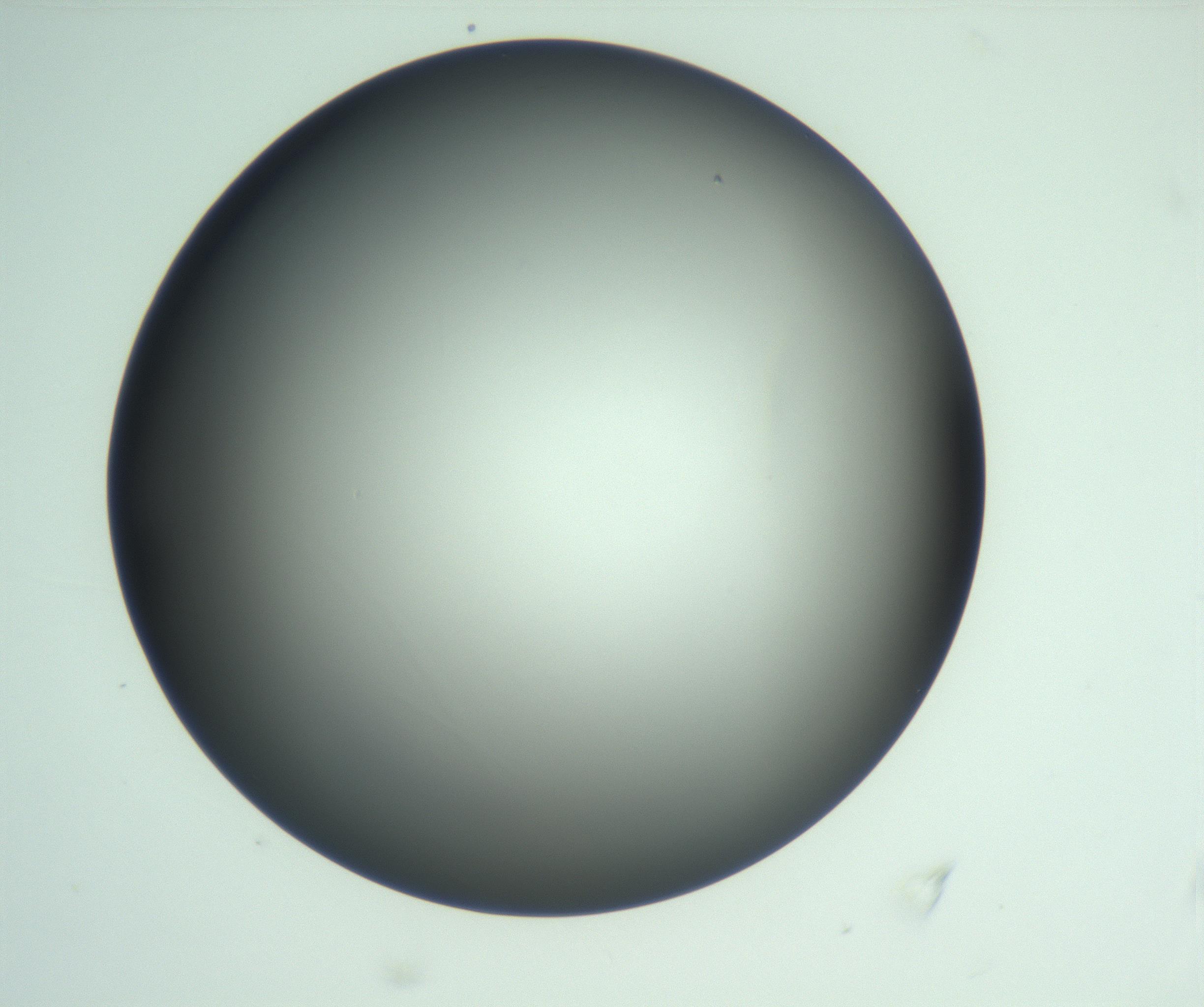 RI01_03_000_0212_Proj1_Clon1_MC_0000MC103093_005_161208_04_05_02_00_99_002_001_RAI.jpg