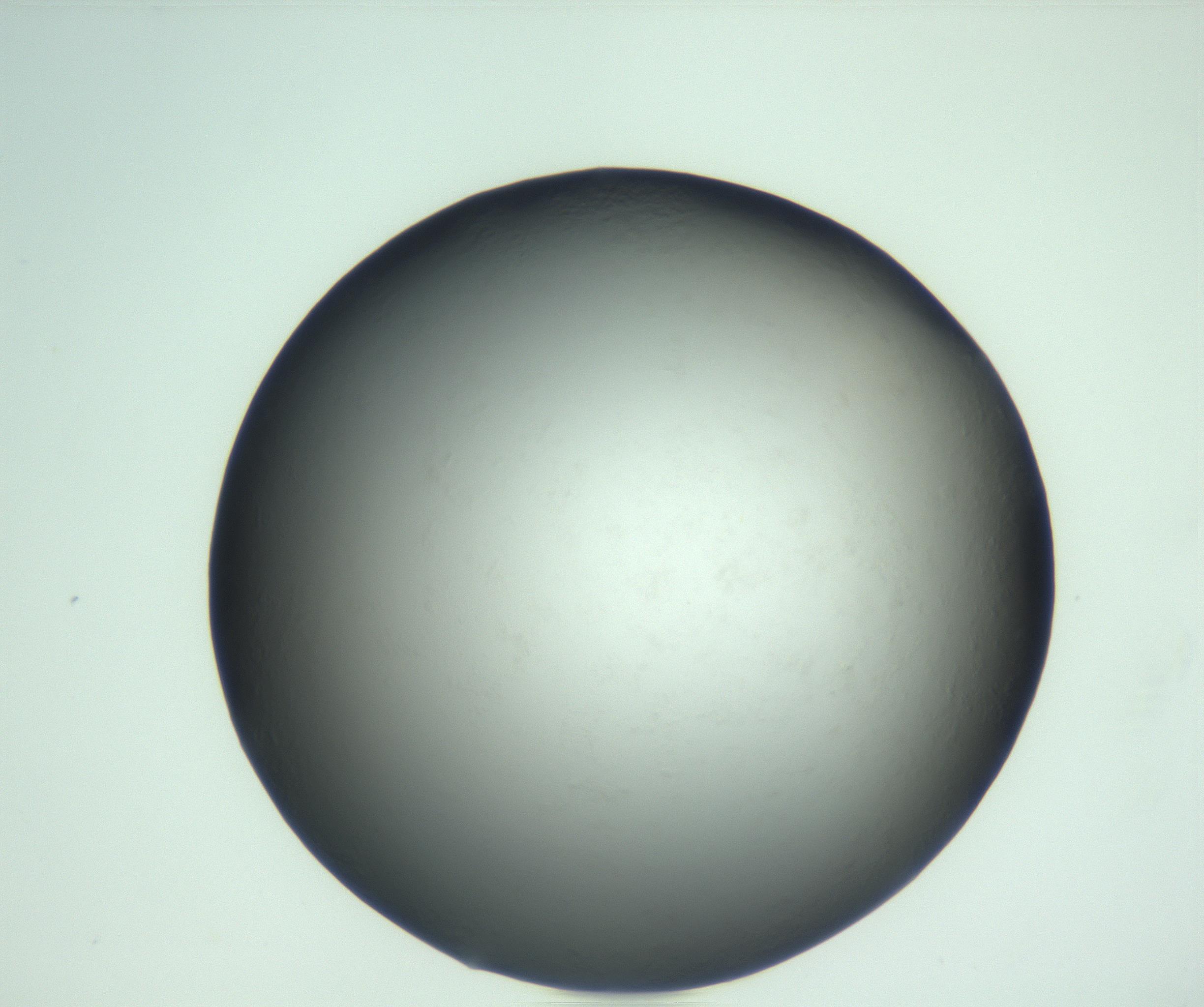 RI01_03_000_0212_Proj1_Clon1_MC_0000MC103093_005_161208_10_05_02_00_99_002_001_RAI.jpg