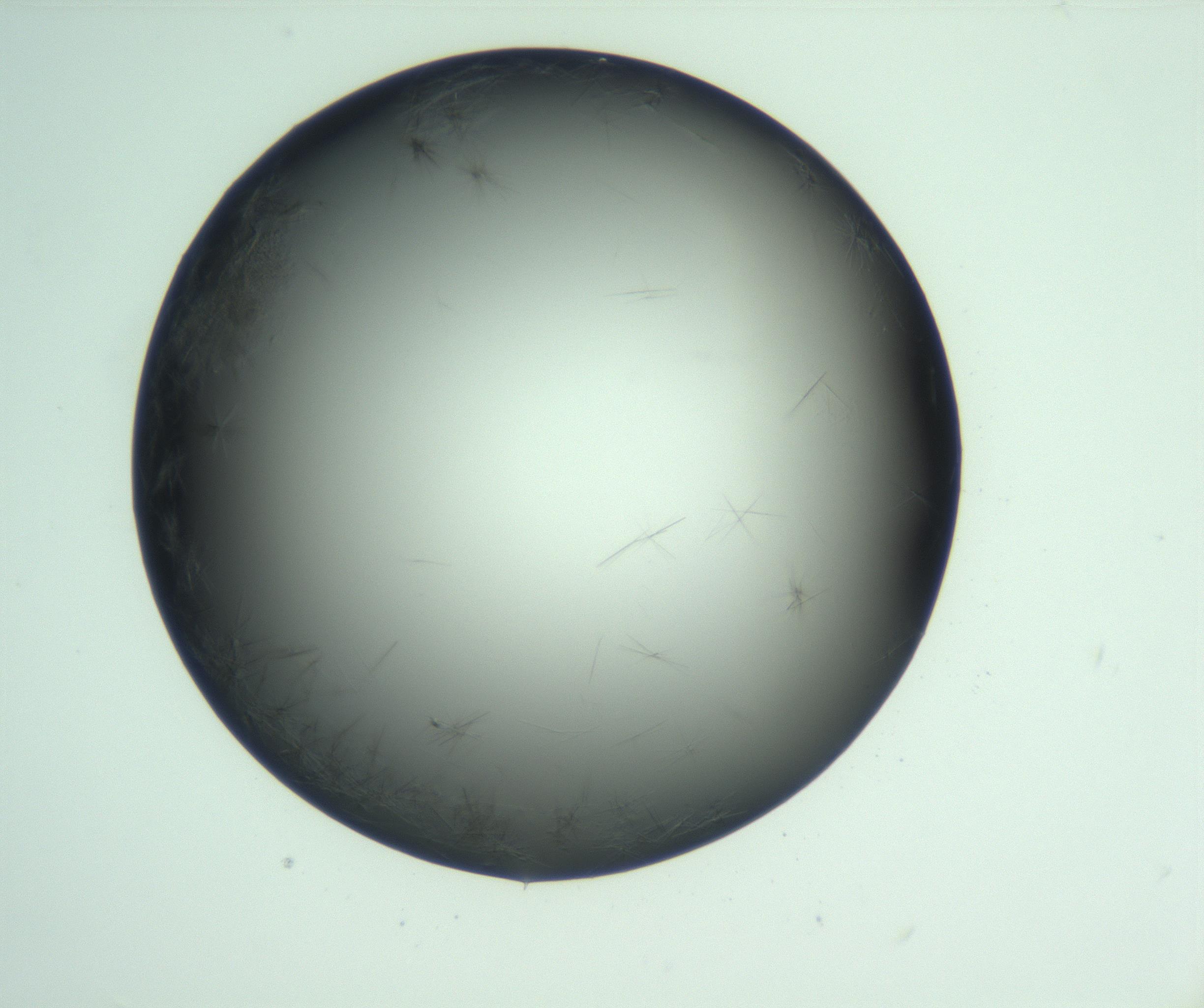 RI01_03_000_0212_Proj1_Clon1_MC_0000MC103093_007_161215_05_02_01_00_99_002_001_RAI.jpg