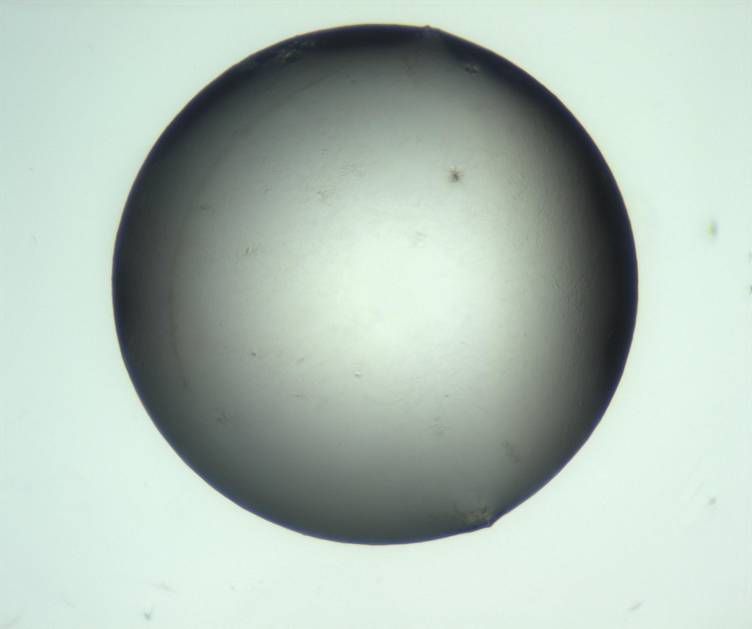 RI01_03_000_0212_Proj1_Clon1_MC_0000MC103093_009_161229_08_02_01_00_99_002_001_RAI.jpg
