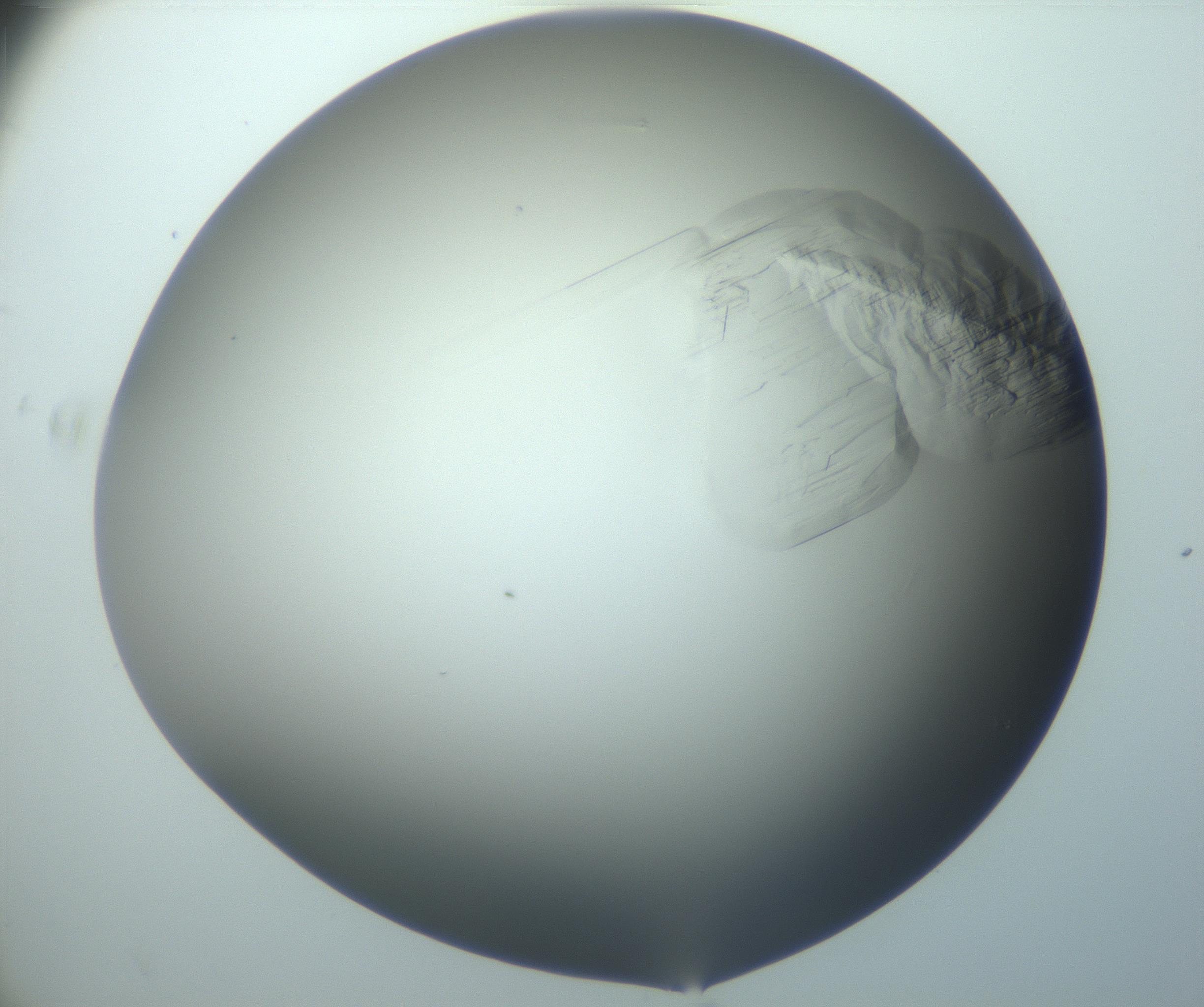 RI01_03_000_0212_Proj1_Clon1_MC_0000MC103095_003_161205_11_07_02_00_99_002_001_RAI.jpg