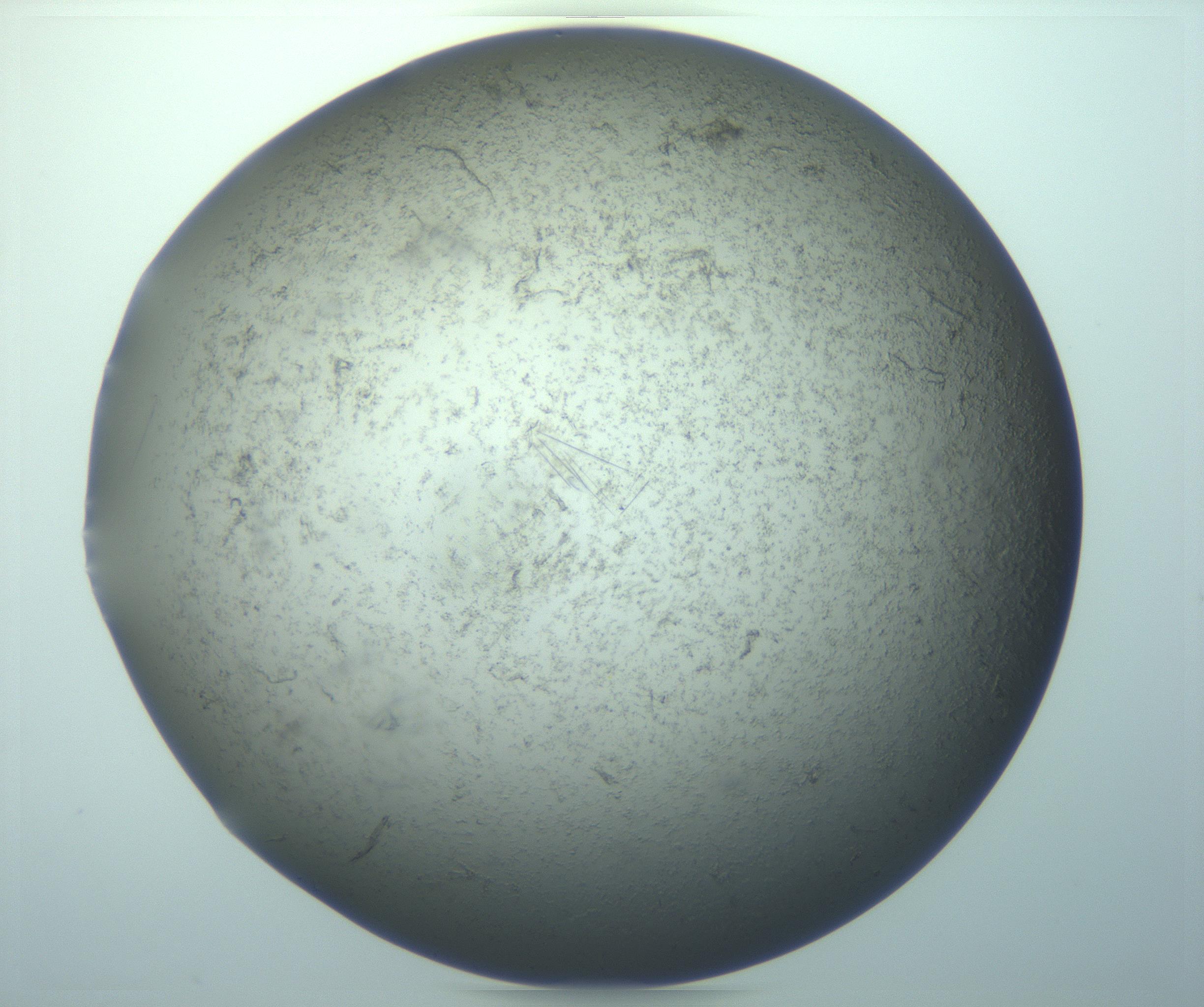 RI01_03_000_0212_Proj1_Clon1_MC_0000MC103096_017_170210_11_07_01_00_99_002_001_RAI.jpg