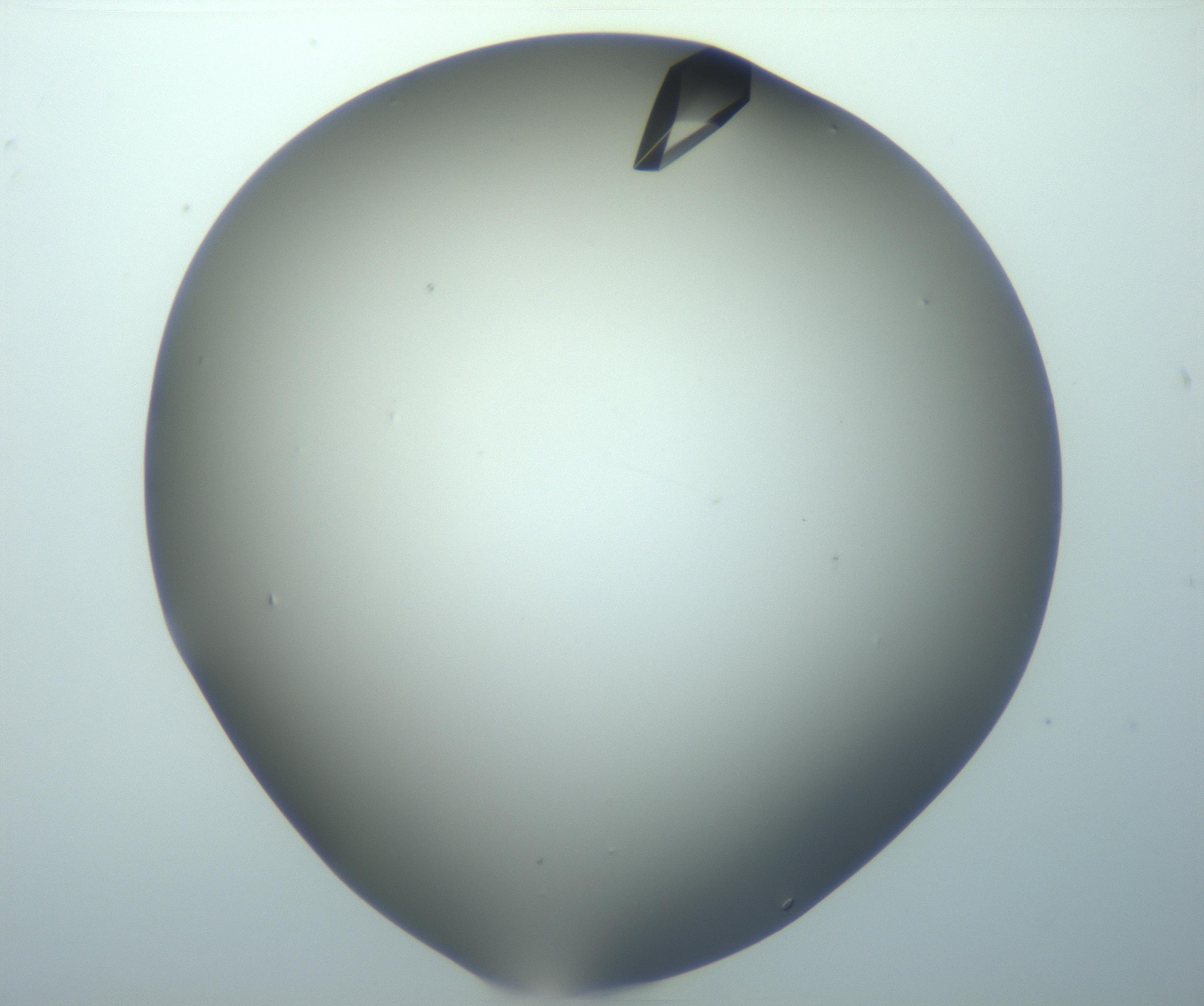 RI01_03_000_0212_Proj1_Clon1_MC_0000MC103098_002_161207_03_02_02_00_99_002_001_RAI.jpg