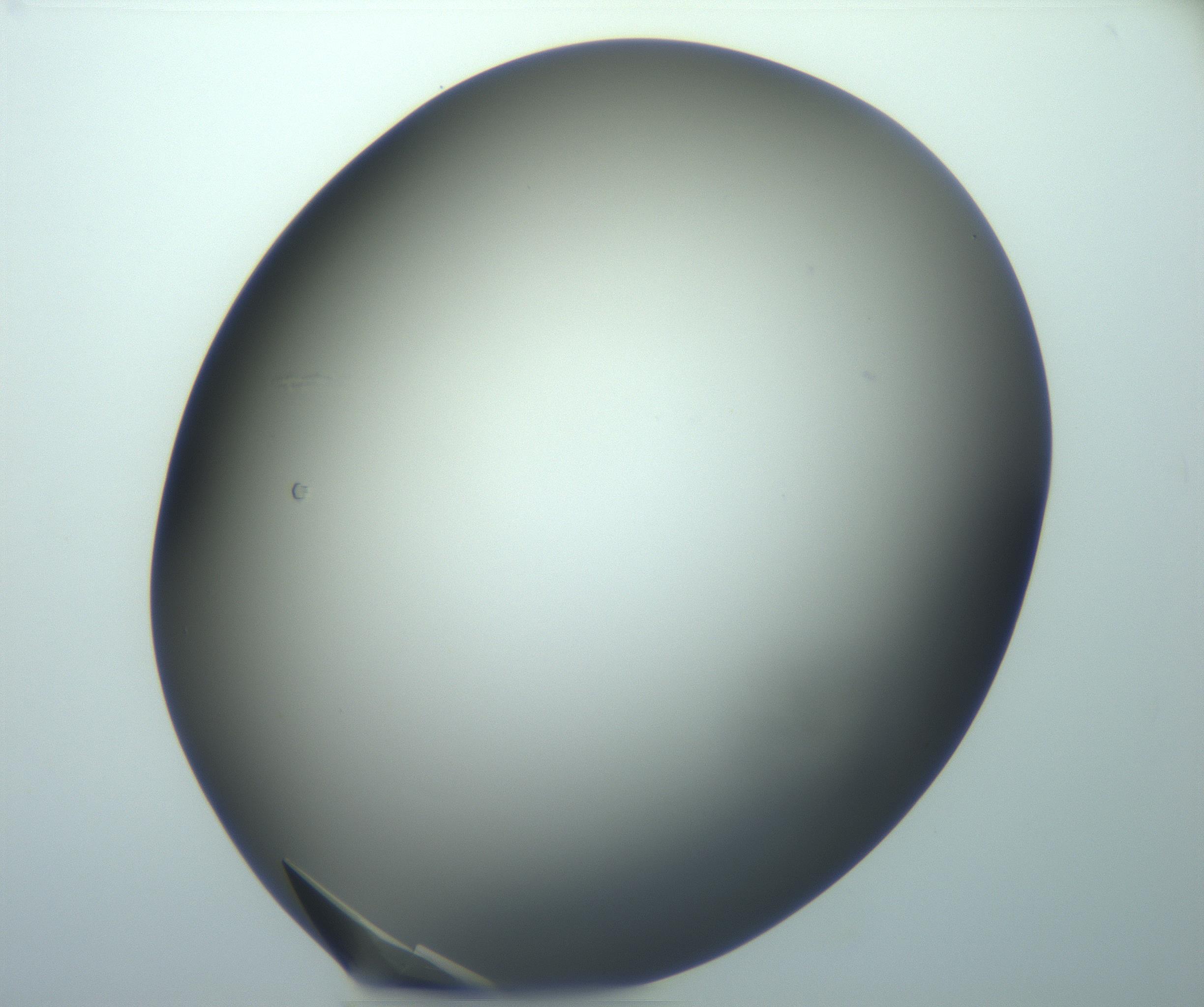 RI01_03_000_0212_Proj1_Clon1_MC_0000MC103098_002_161207_05_08_02_00_99_002_001_RAI.jpg
