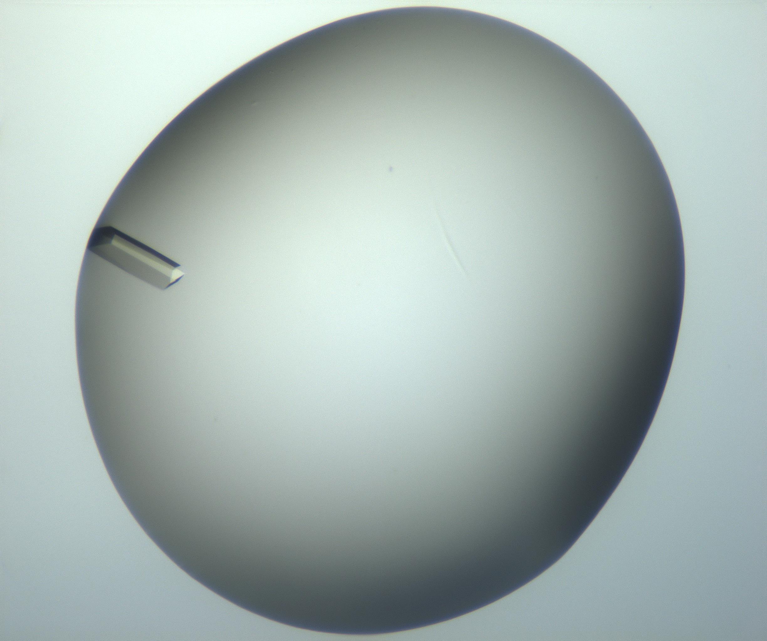 RI01_03_000_0212_Proj1_Clon1_MC_0000MC103099_002_161207_12_07_02_00_99_002_001_RAI.jpg