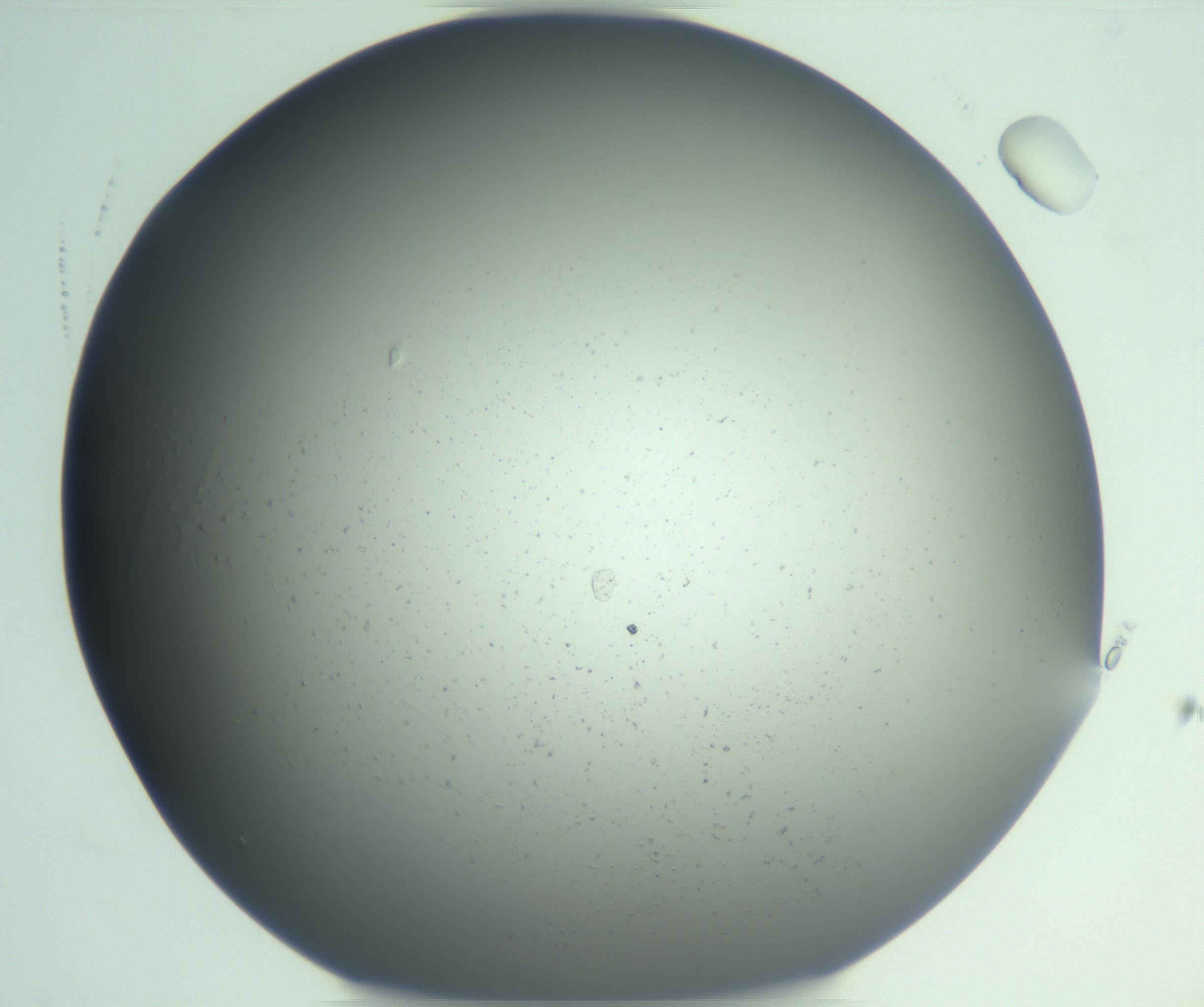 RI01_03_000_0212_Proj1_Clon1_MC_0000MC103101_010_170111_05_06_02_00_99_002_001_RAI.jpg