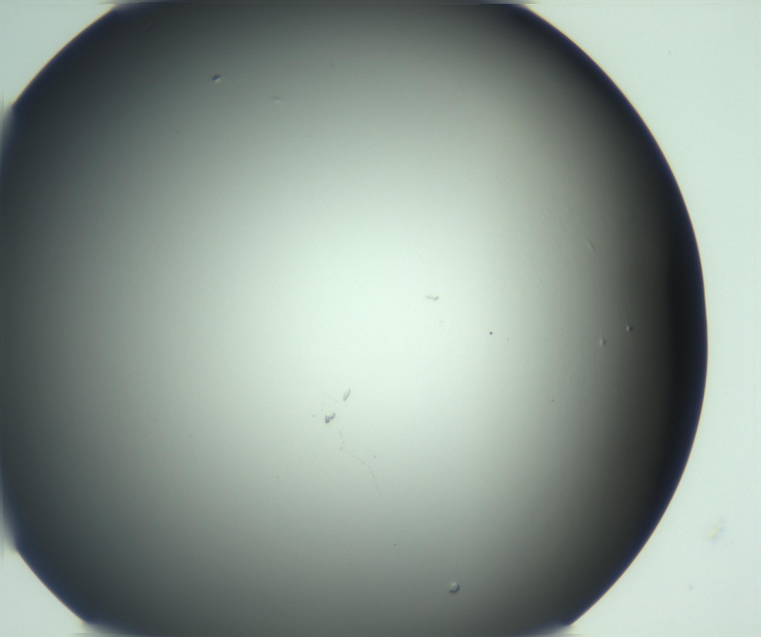 RI01_03_000_0212_Proj1_Clon1_MC_0000MC103106_008_161229_04_02_02_00_99_002_001_RAI.jpg