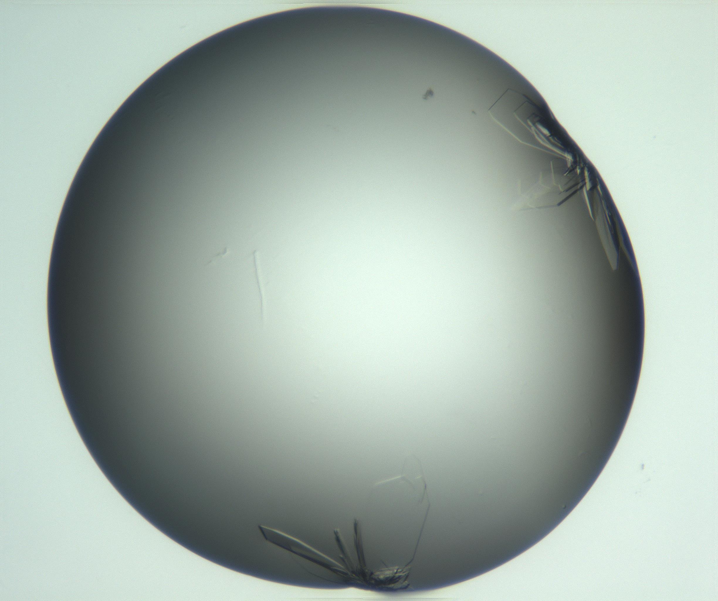 RI01_03_000_0212_Proj1_Clon1_MC_0000MC103113_003_161211_03_04_01_00_99_002_001_RAI.jpg