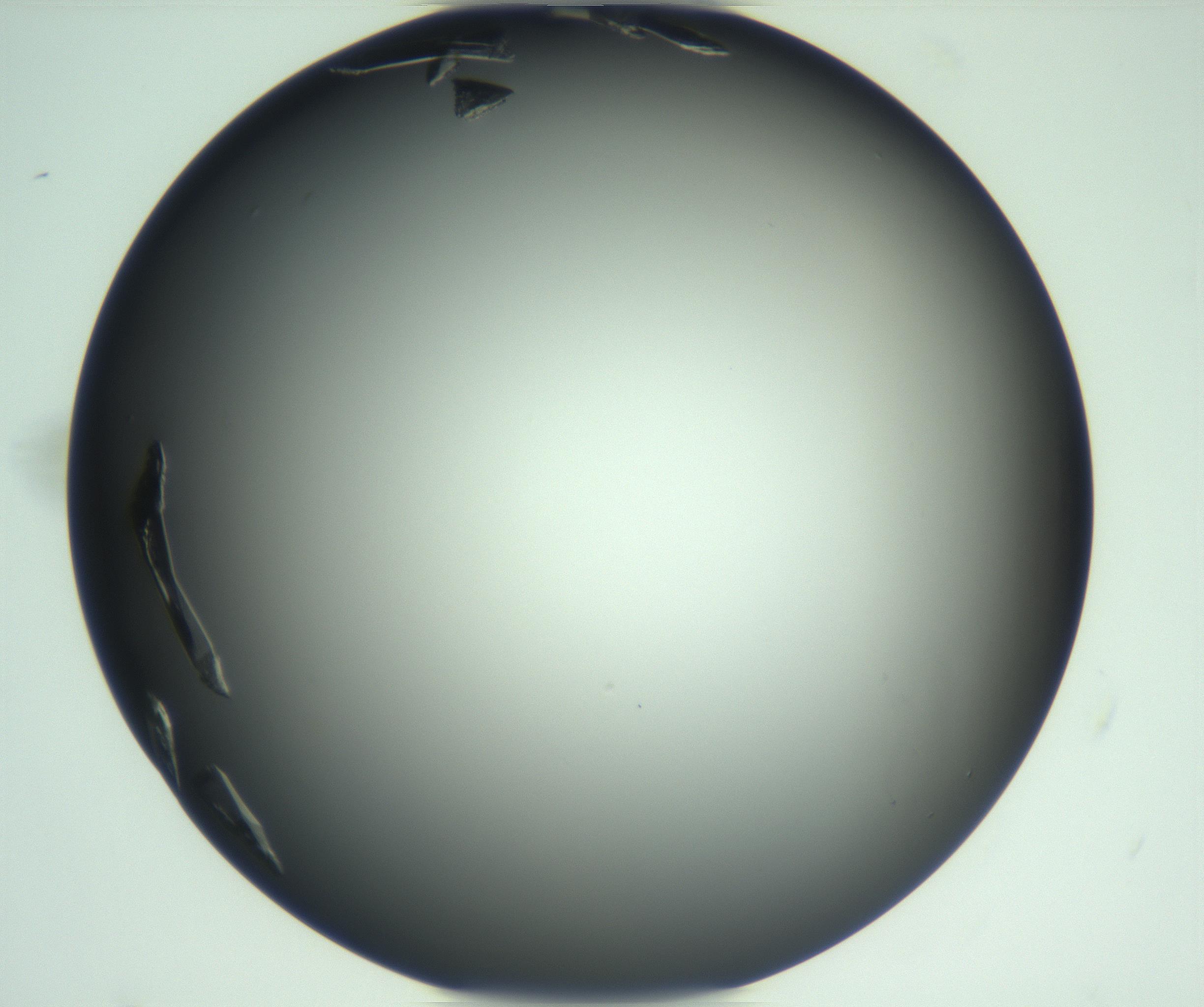 RI01_03_000_0212_Proj1_Clon1_MC_0000MC103113_003_161211_11_01_02_00_99_002_001_RAI.jpg
