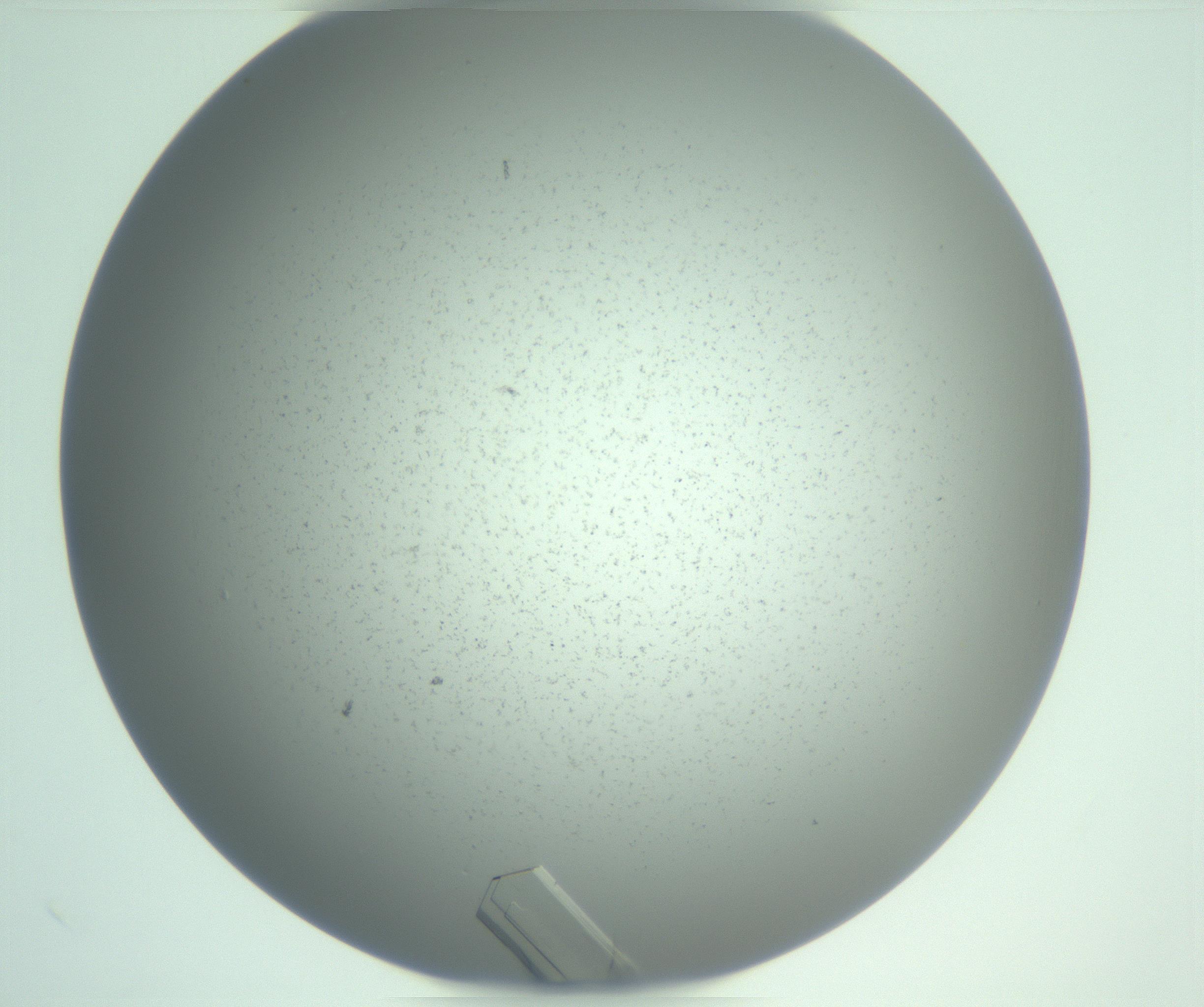 RI01_03_000_0212_Proj1_Clon1_MC_0000MC103113_014_170209_01_03_01_00_99_002_001_RAI.jpg
