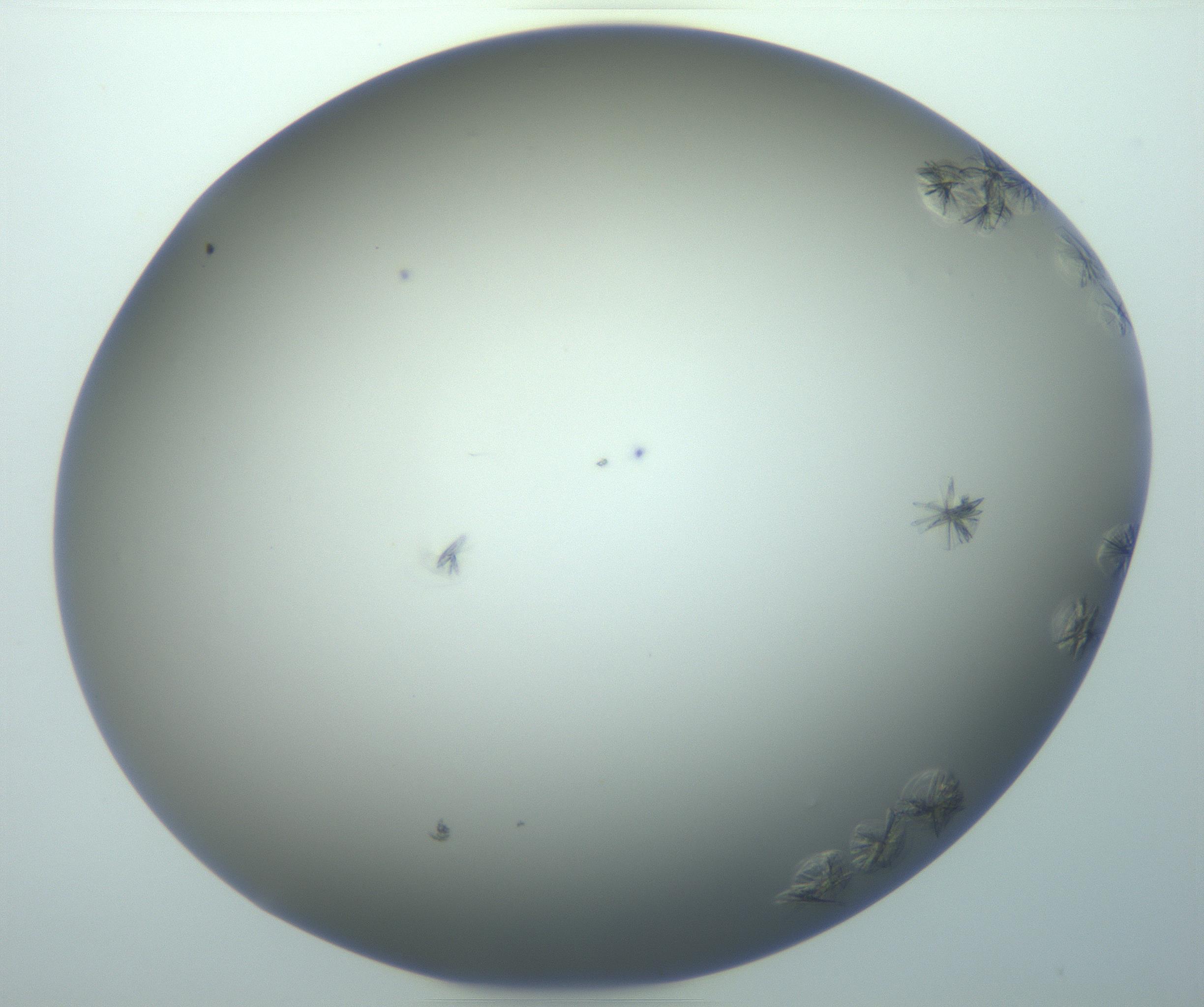 RI01_03_000_0212_Proj1_Clon1_MC_0000MC103116_004_161214_01_08_02_00_99_002_001_RAI.jpg