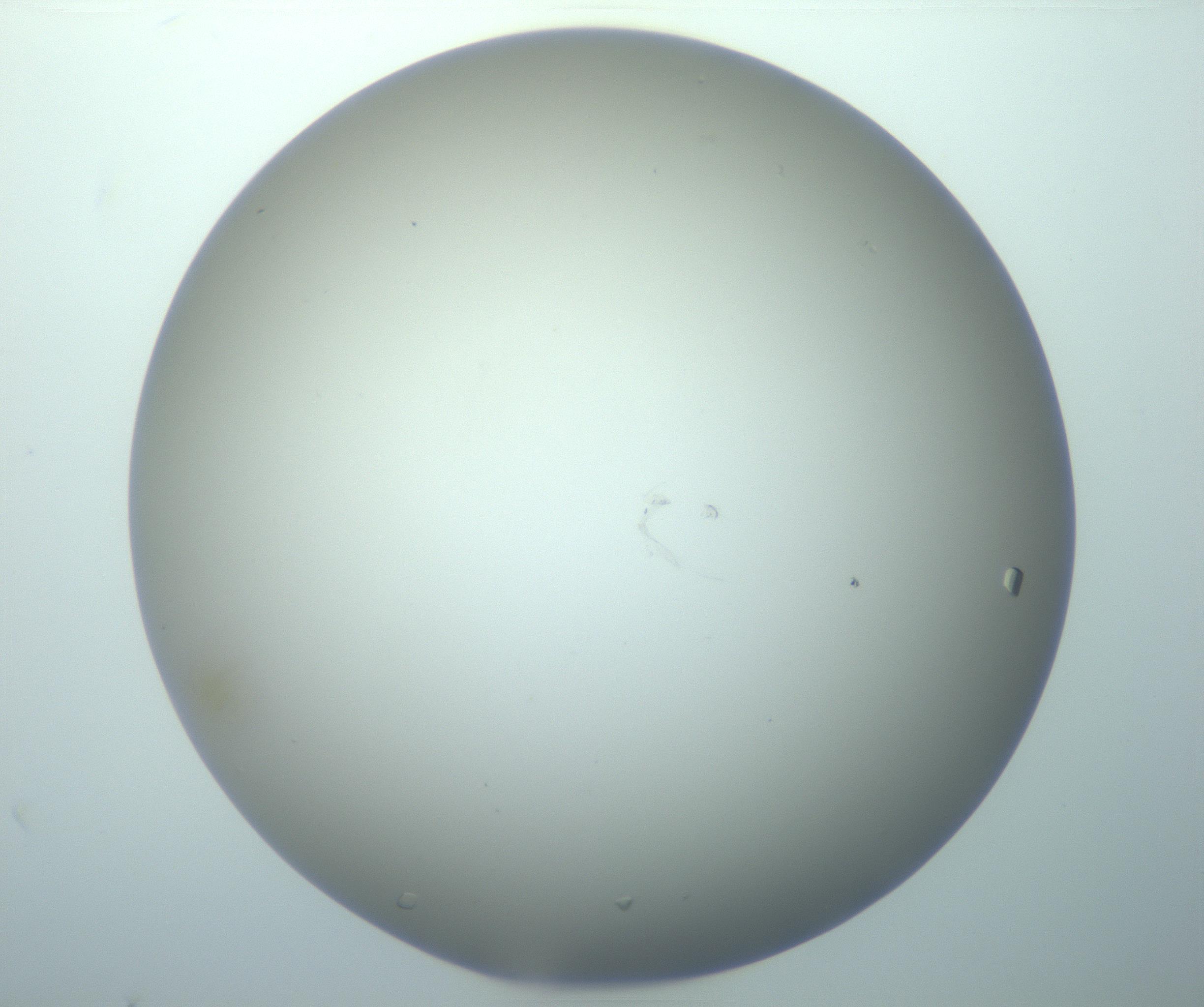 RI01_03_000_0212_Proj1_Clon1_MC_0000MC103116_004_161214_02_02_01_00_99_002_001_RAI.jpg
