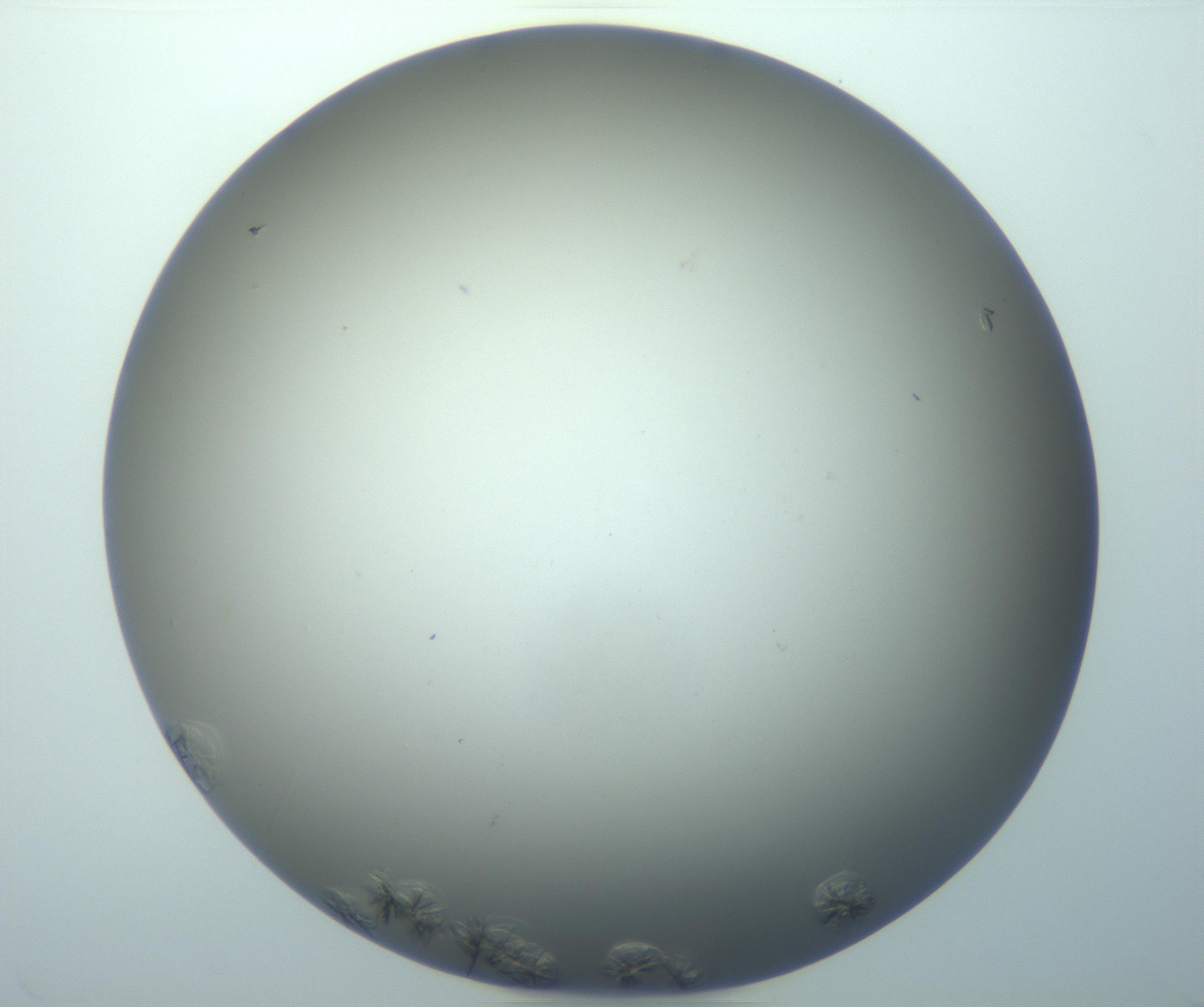 RI01_03_000_0212_Proj1_Clon1_MC_0000MC103116_004_161214_03_06_01_00_99_002_001_RAI.jpg