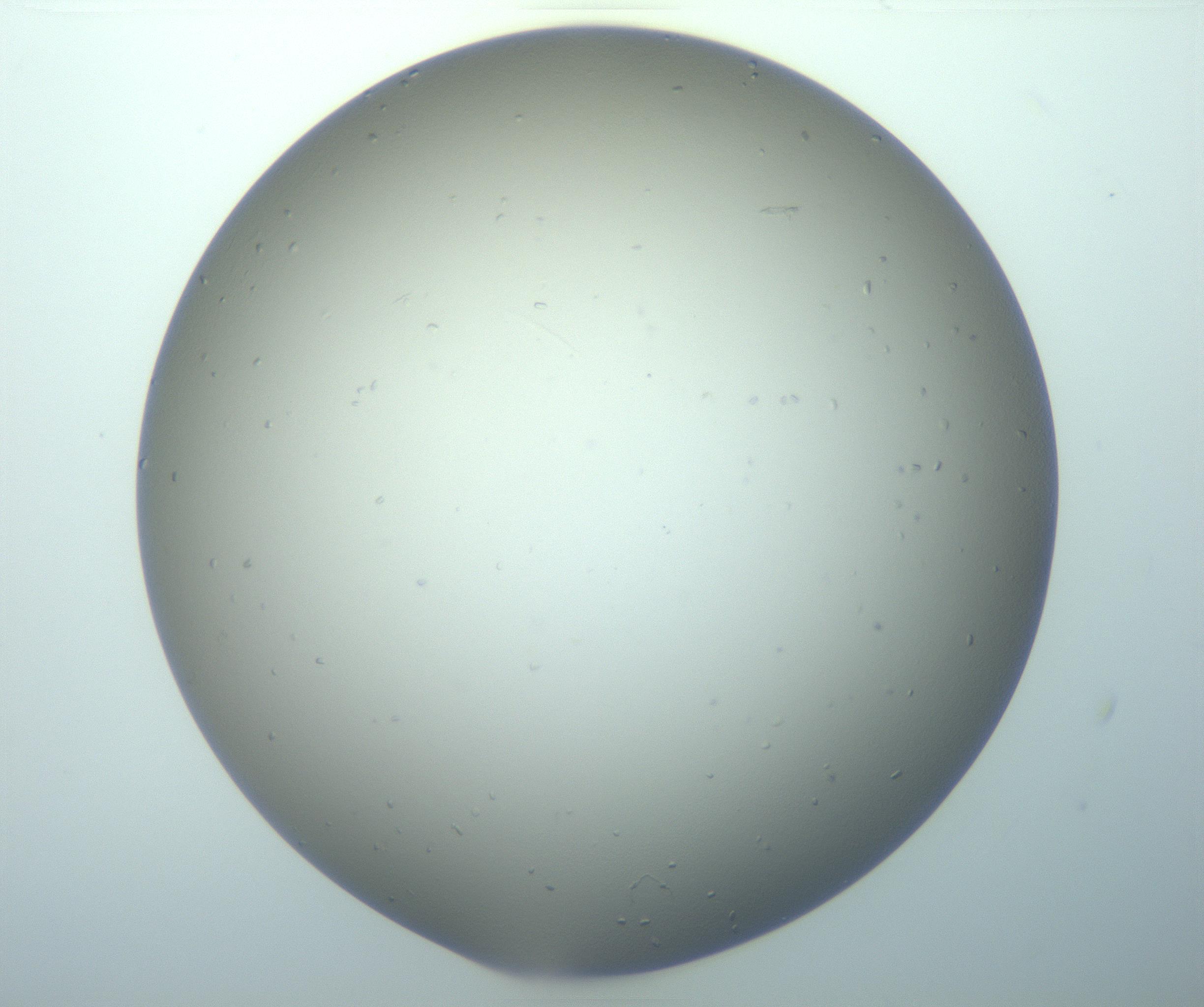 RI01_03_000_0212_Proj1_Clon1_MC_0000MC103116_004_161214_06_02_01_00_99_002_001_RAI.jpg