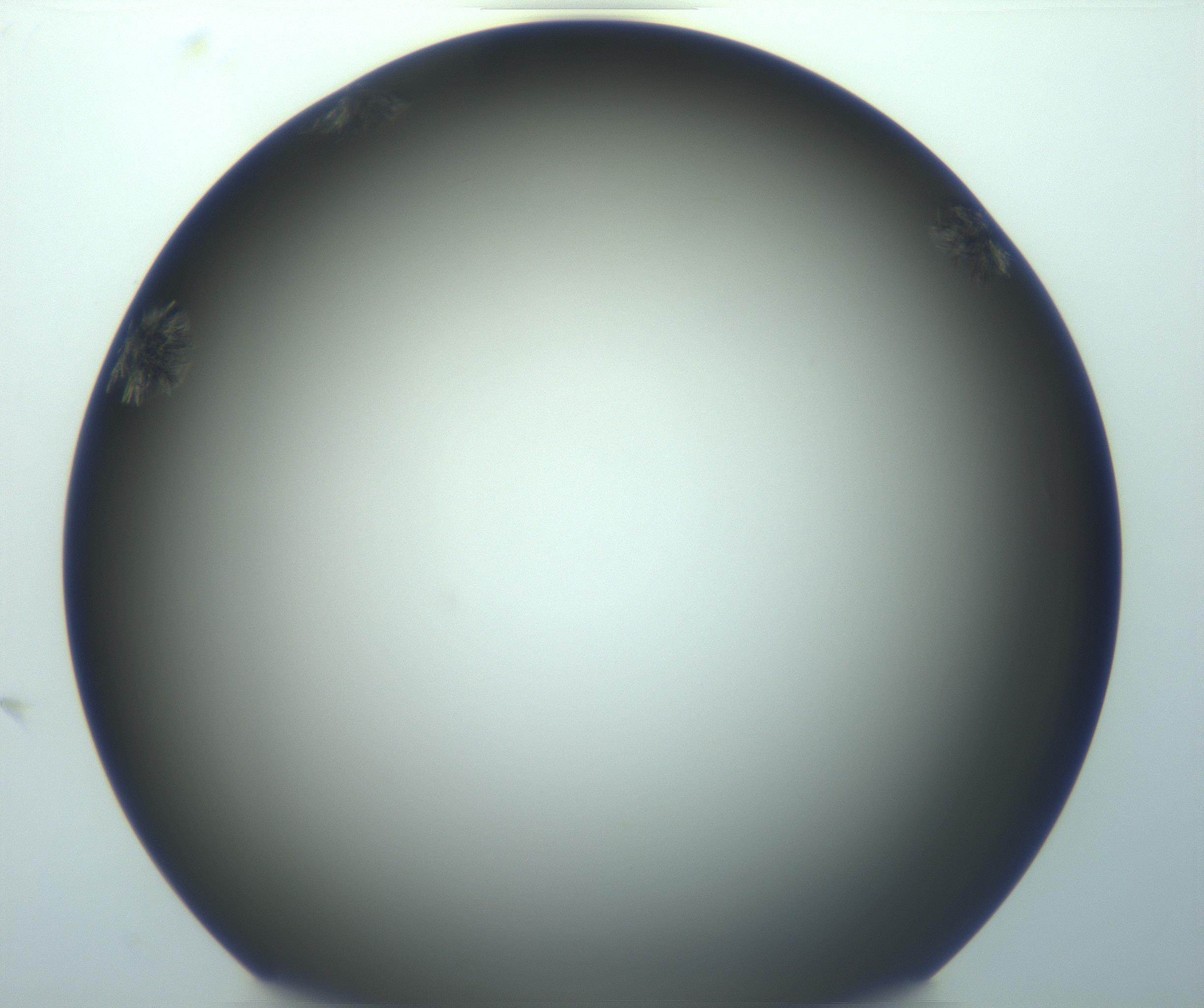 RI01_03_000_0212_Proj1_Clon1_MC_0000MC103116_004_161214_09_01_02_00_99_002_001_RAI.jpg