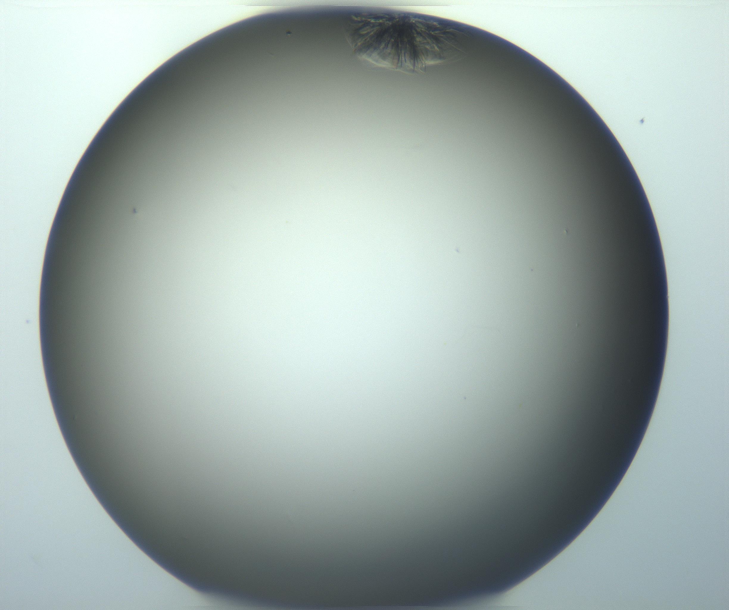 RI01_03_000_0212_Proj1_Clon1_MC_0000MC103116_004_161214_09_03_01_00_99_002_001_RAI.jpg