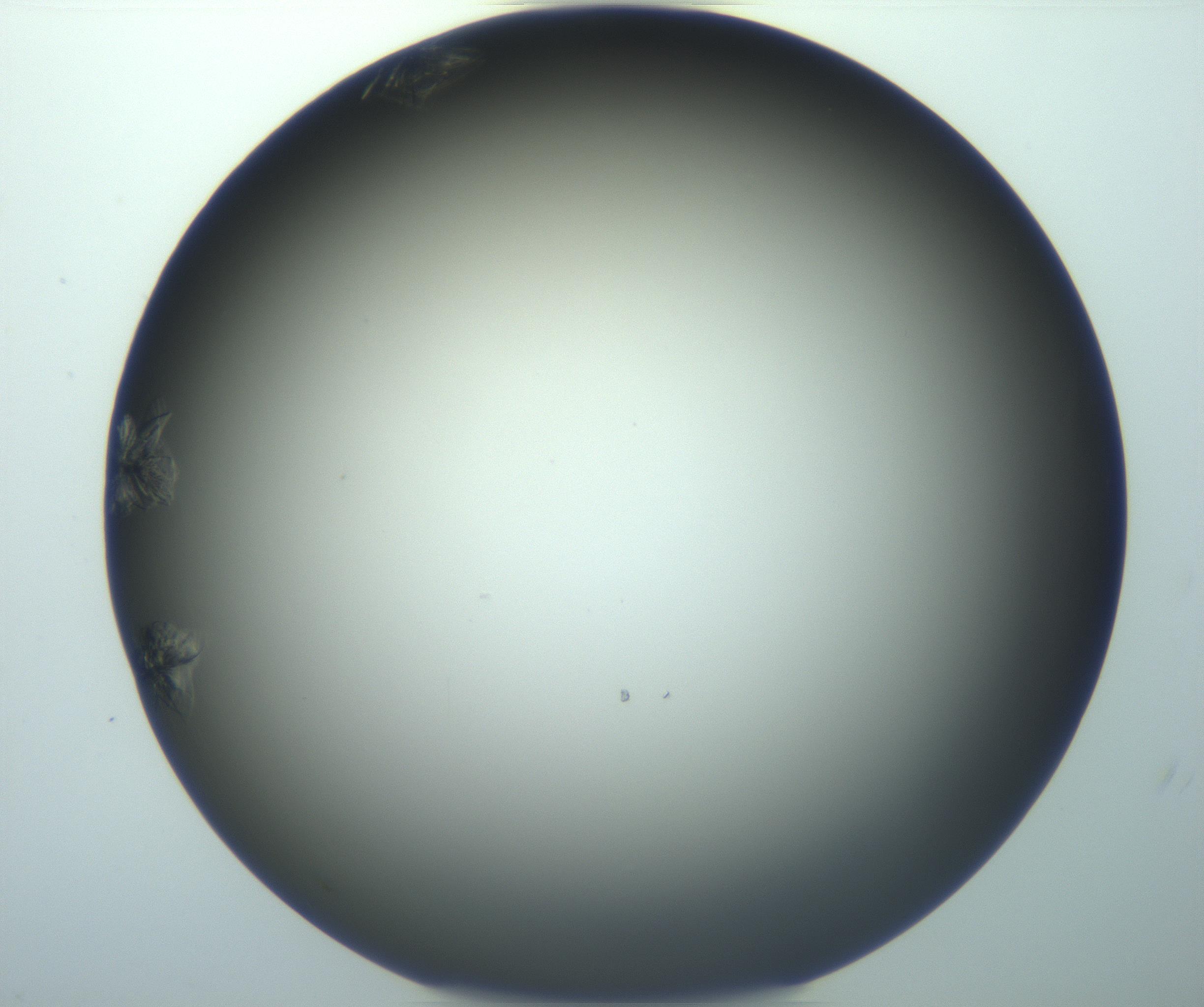 RI01_03_000_0212_Proj1_Clon1_MC_0000MC103116_004_161214_12_02_02_00_99_002_001_RAI.jpg