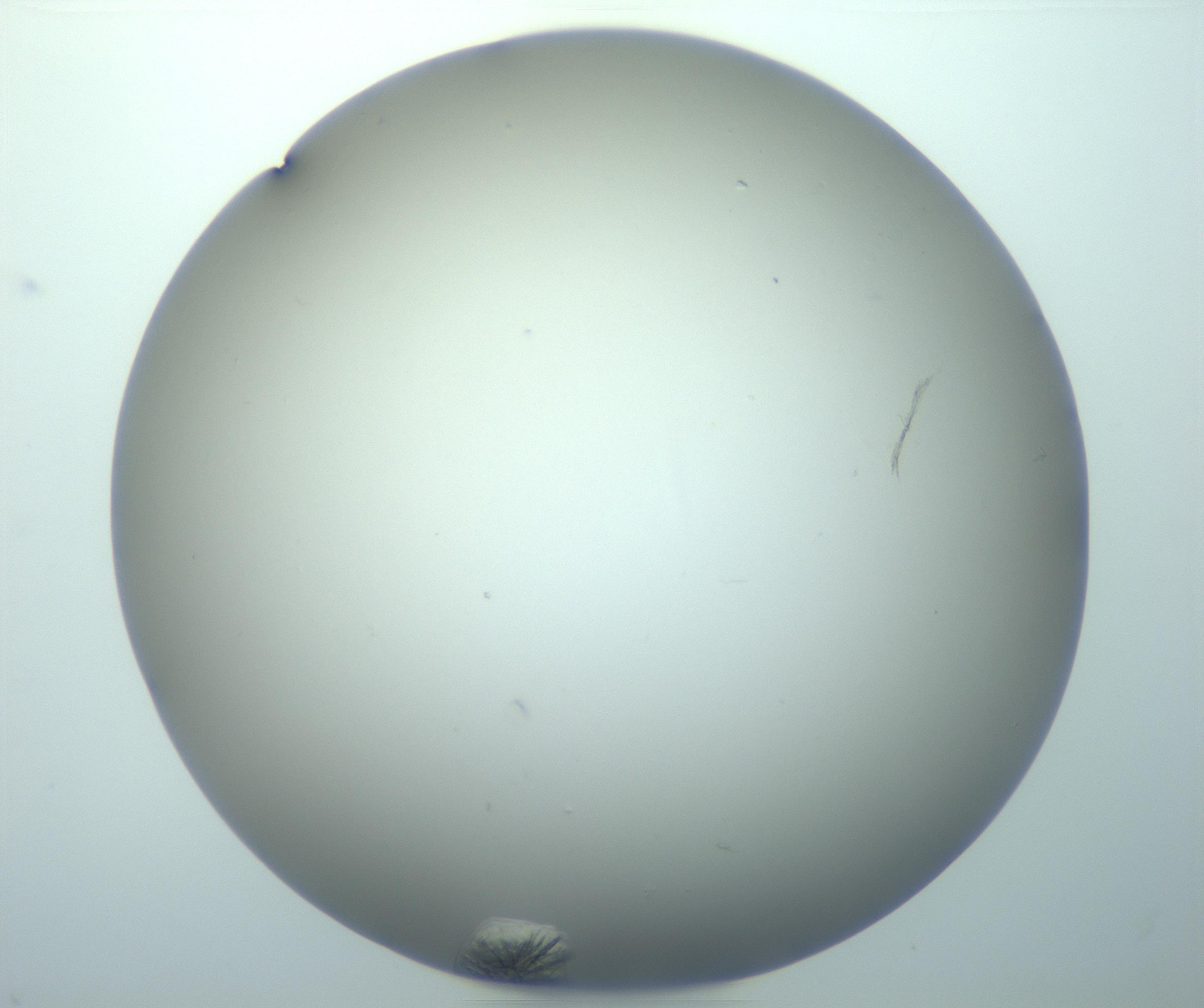 RI01_03_000_0212_Proj1_Clon1_MC_0000MC103116_006_161219_02_06_01_00_99_002_001_RAI.jpg