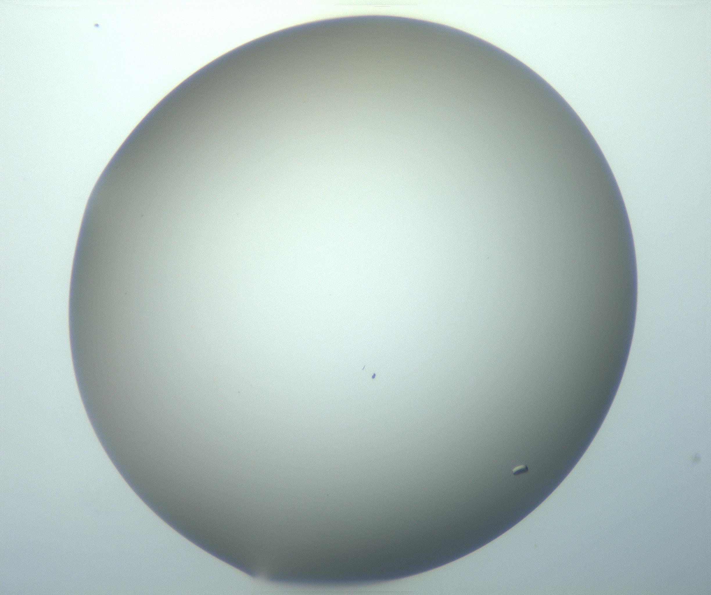 RI01_03_000_0212_Proj1_Clon1_MC_0000MC103116_006_161219_05_03_02_00_99_002_001_RAI.jpg