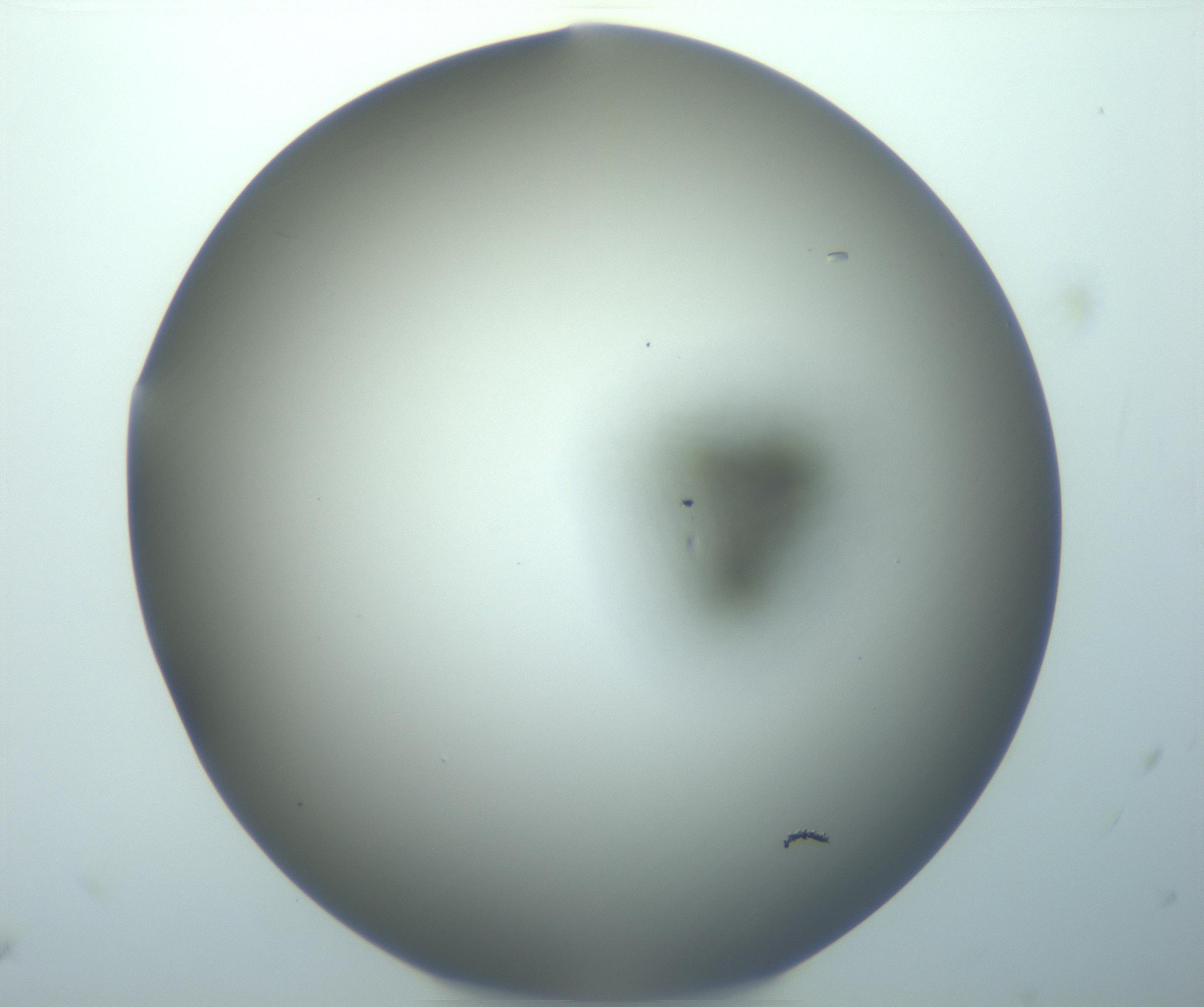 RI01_03_000_0212_Proj1_Clon1_MC_0000MC103116_006_161219_06_01_02_00_99_002_001_RAI.jpg