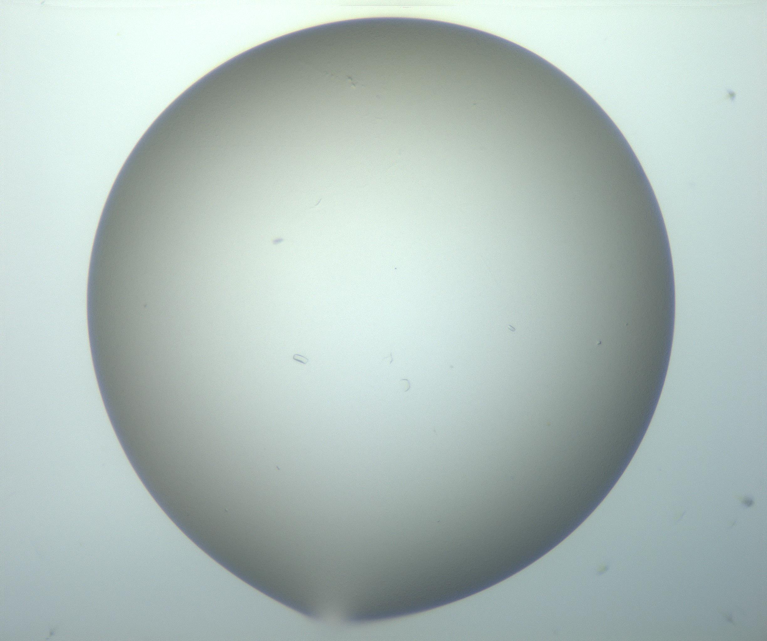 RI01_03_000_0212_Proj1_Clon1_MC_0000MC103116_006_161219_06_02_02_00_99_002_001_RAI.jpg