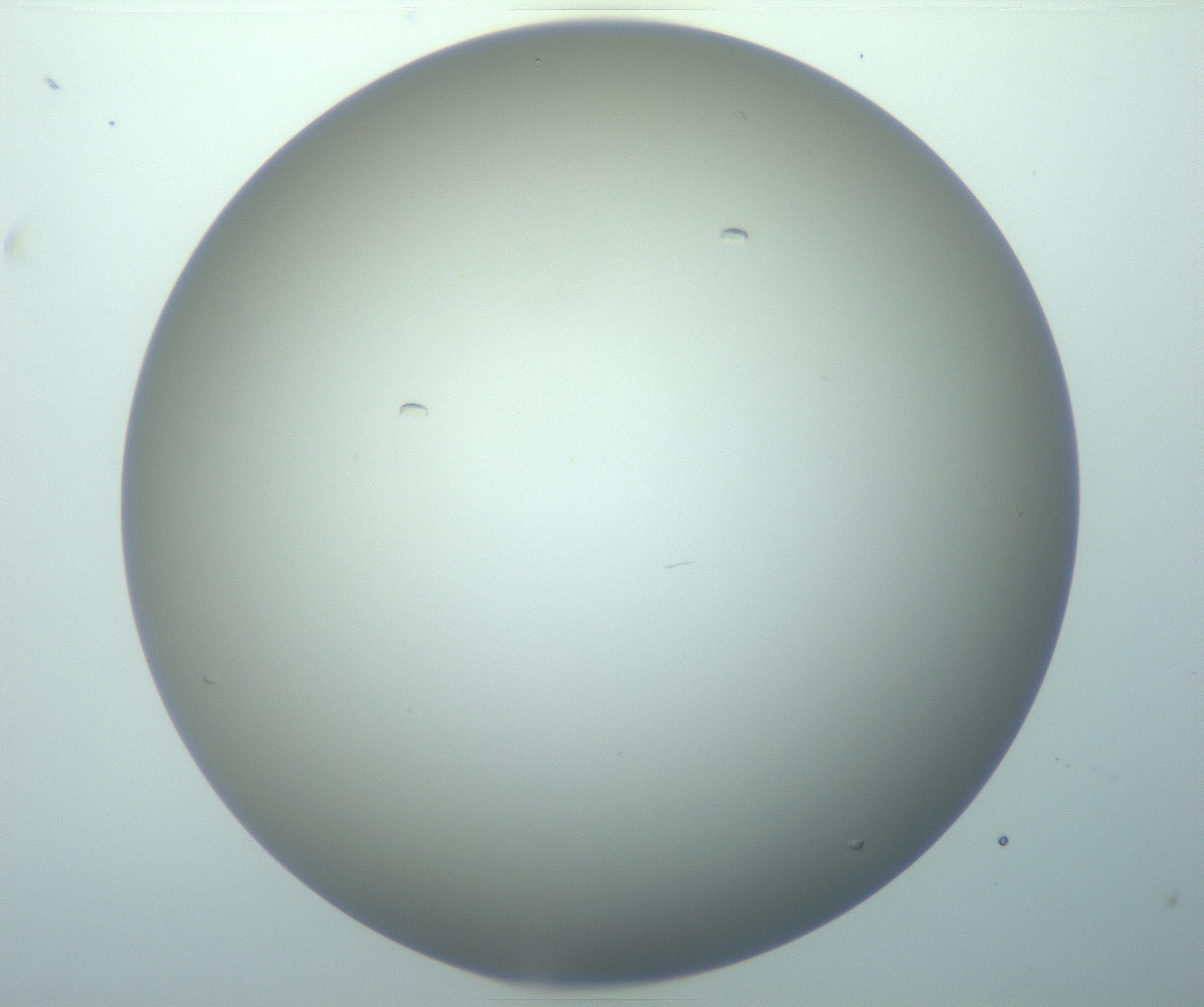 RI01_03_000_0212_Proj1_Clon1_MC_0000MC103116_009_170106_04_03_02_00_99_002_001_RAI.jpg