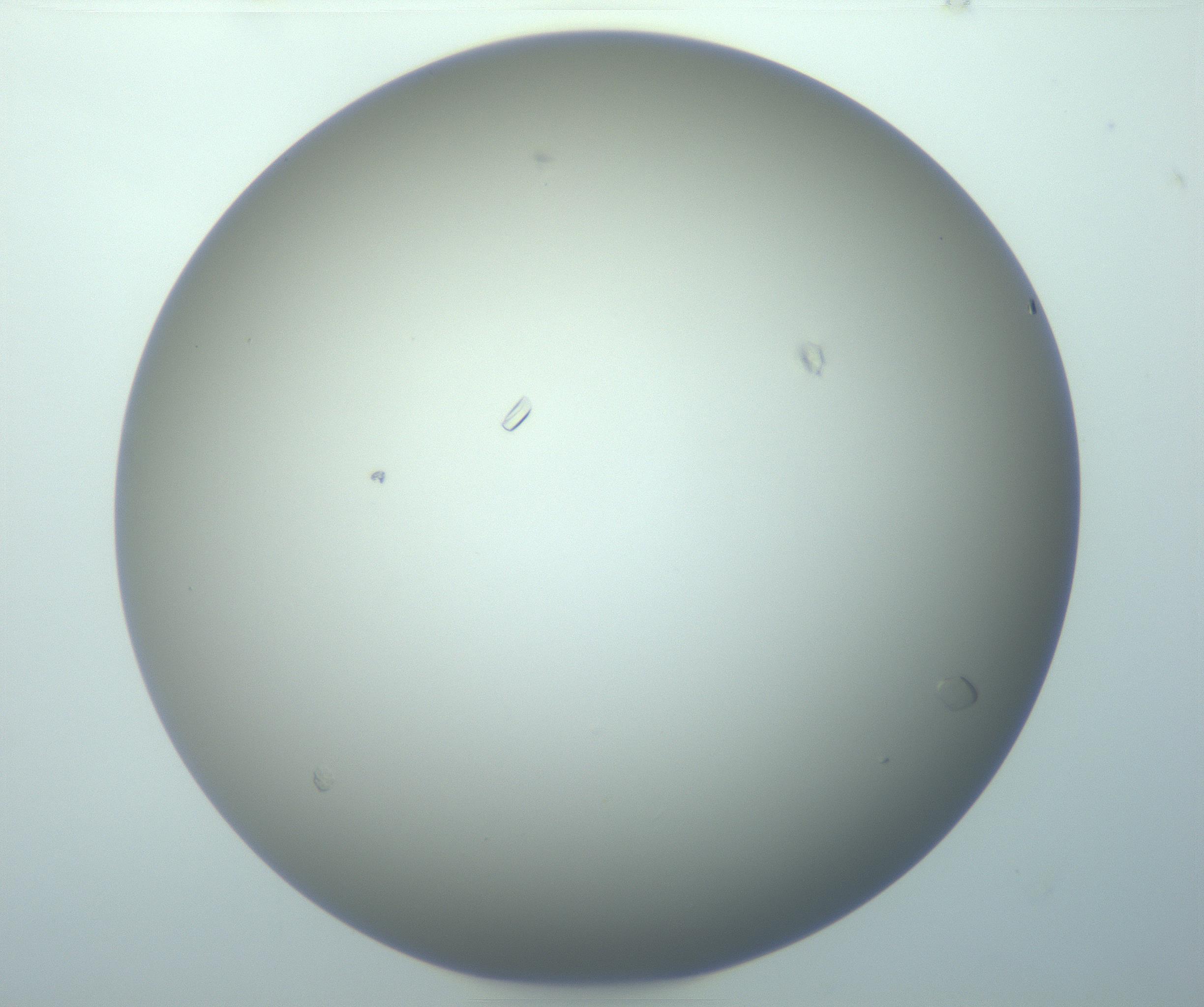 RI01_03_000_0212_Proj1_Clon1_MC_0000MC103117_004_161214_03_05_01_00_99_002_001_RAI.jpg