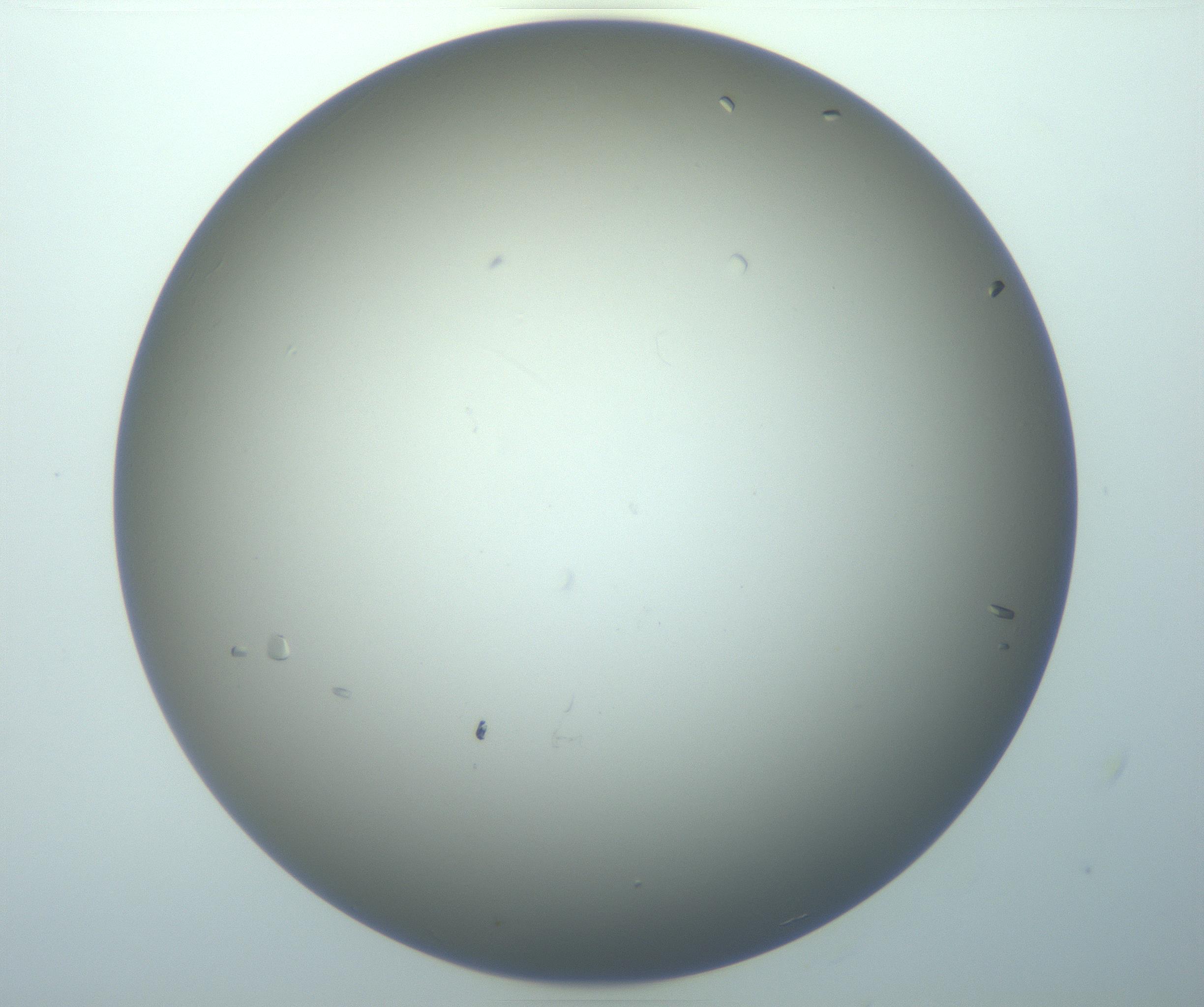RI01_03_000_0212_Proj1_Clon1_MC_0000MC103117_004_161214_06_02_01_00_99_002_001_RAI.jpg