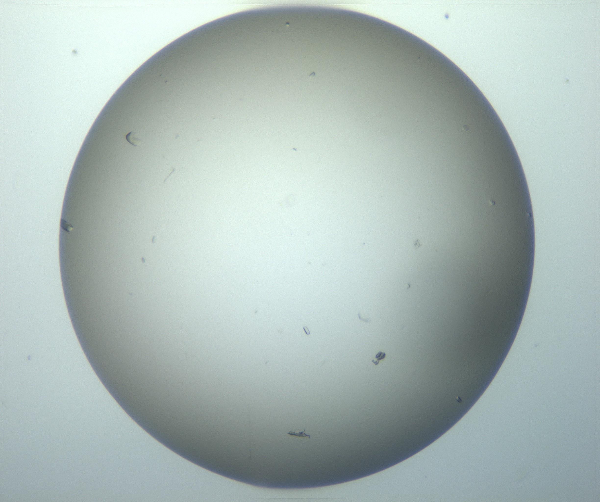 RI01_03_000_0212_Proj1_Clon1_MC_0000MC103117_004_161214_11_02_01_00_99_002_001_RAI.jpg