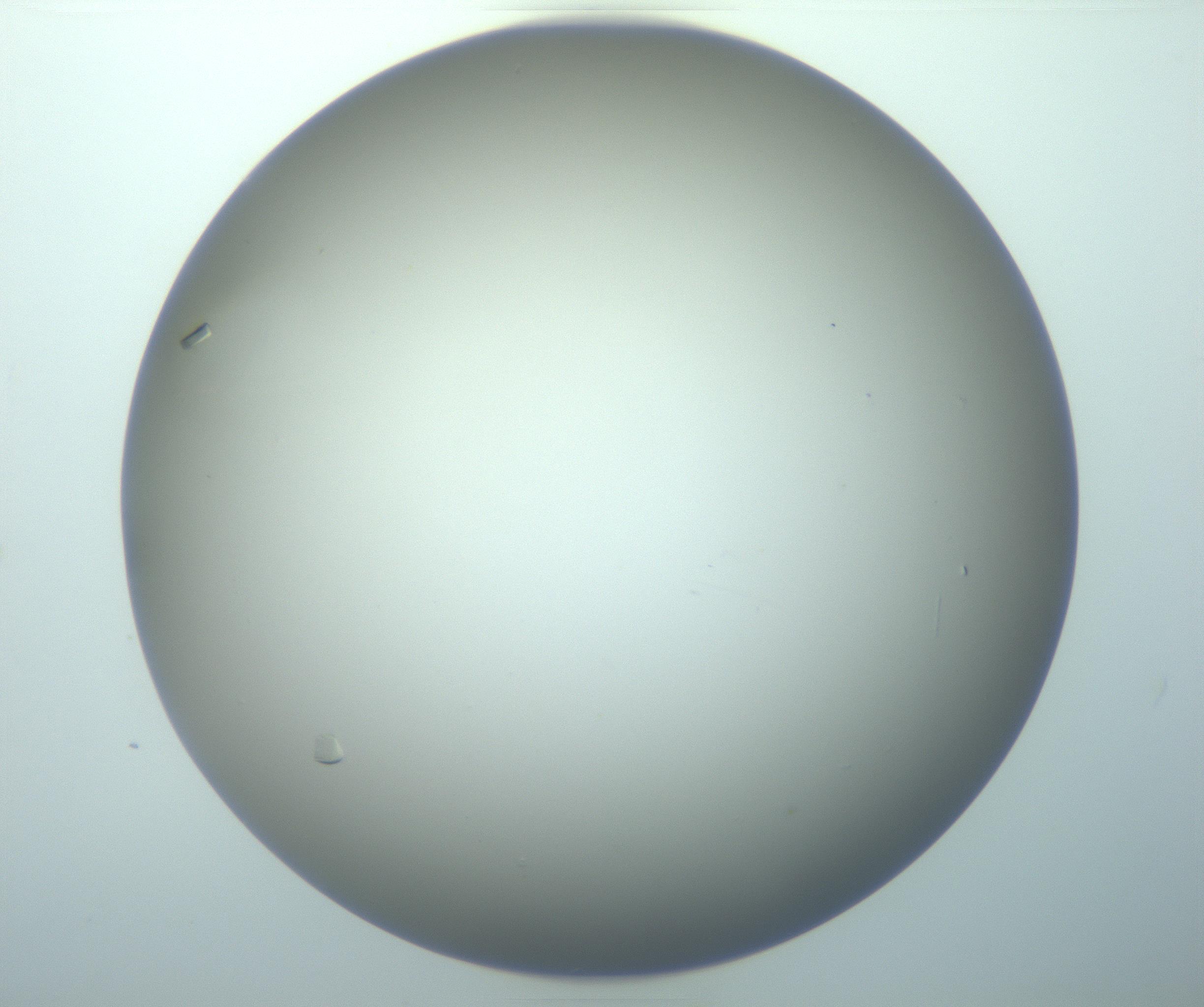 RI01_03_000_0212_Proj1_Clon1_MC_0000MC103117_005_161216_03_02_01_00_99_002_001_RAI.jpg