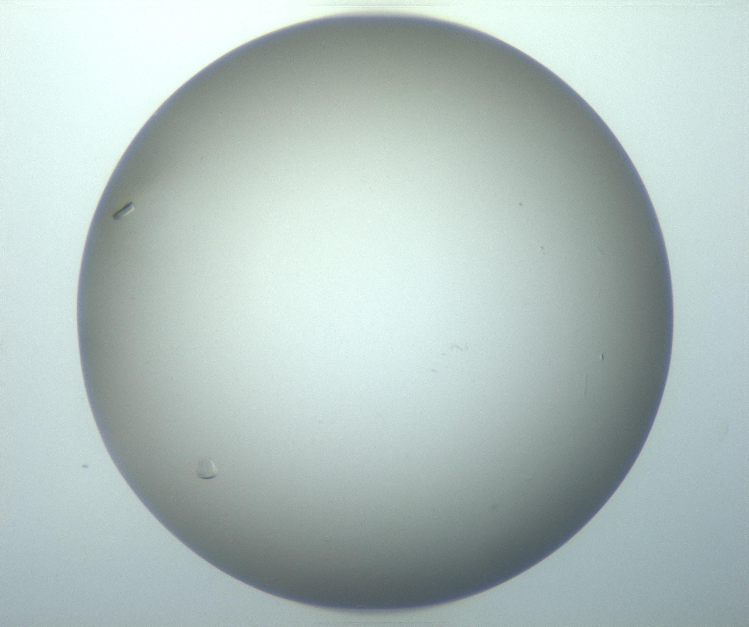 RI01_03_000_0212_Proj1_Clon1_MC_0000MC103117_006_161219_03_02_01_00_99_002_001_RAI.jpg