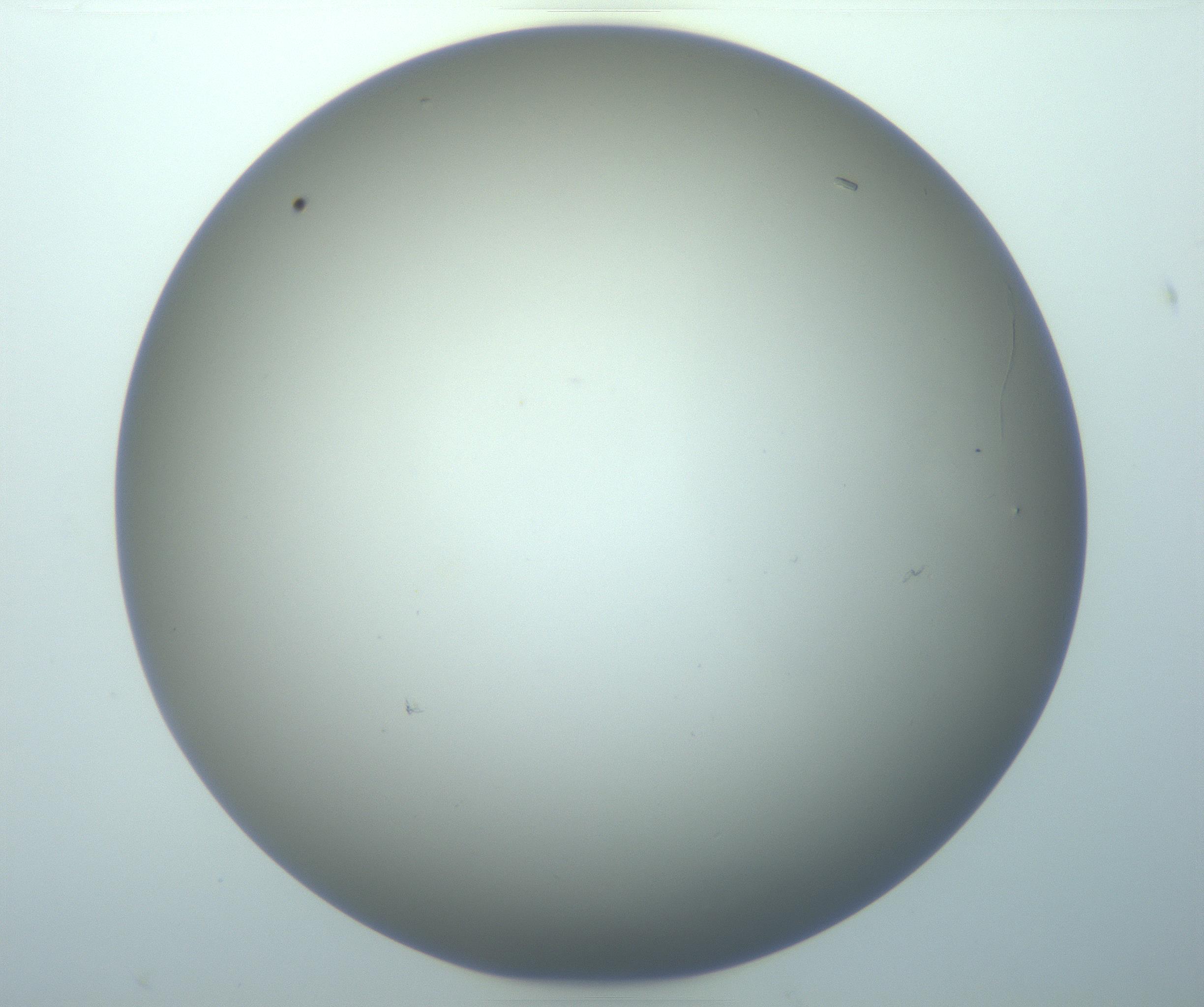 RI01_03_000_0212_Proj1_Clon1_MC_0000MC103117_006_161219_04_02_01_00_99_002_001_RAI.jpg
