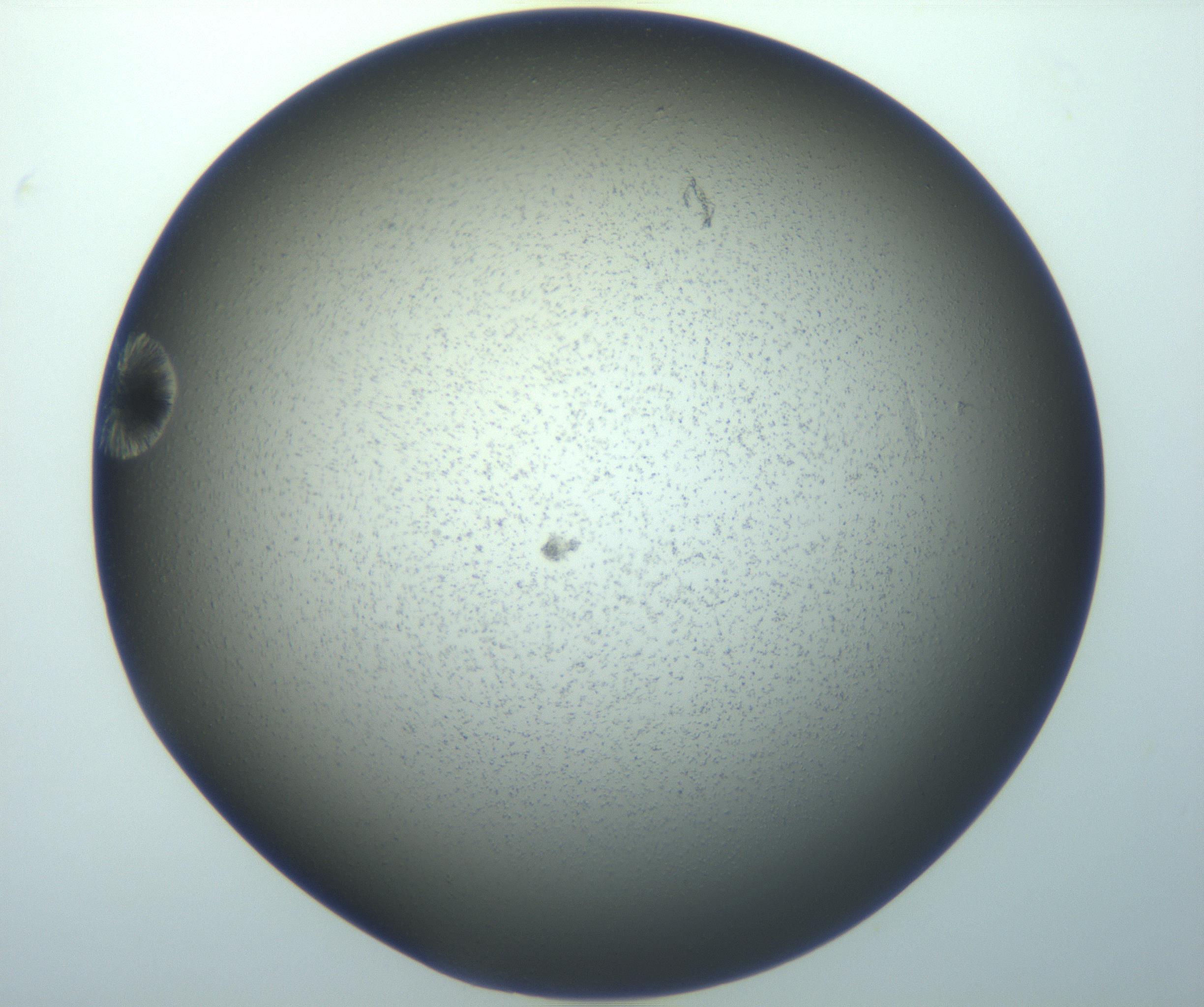 RI01_03_000_0212_Proj1_Clon1_MC_0000MC103118_004_161214_07_04_01_00_99_002_001_RAI.jpg