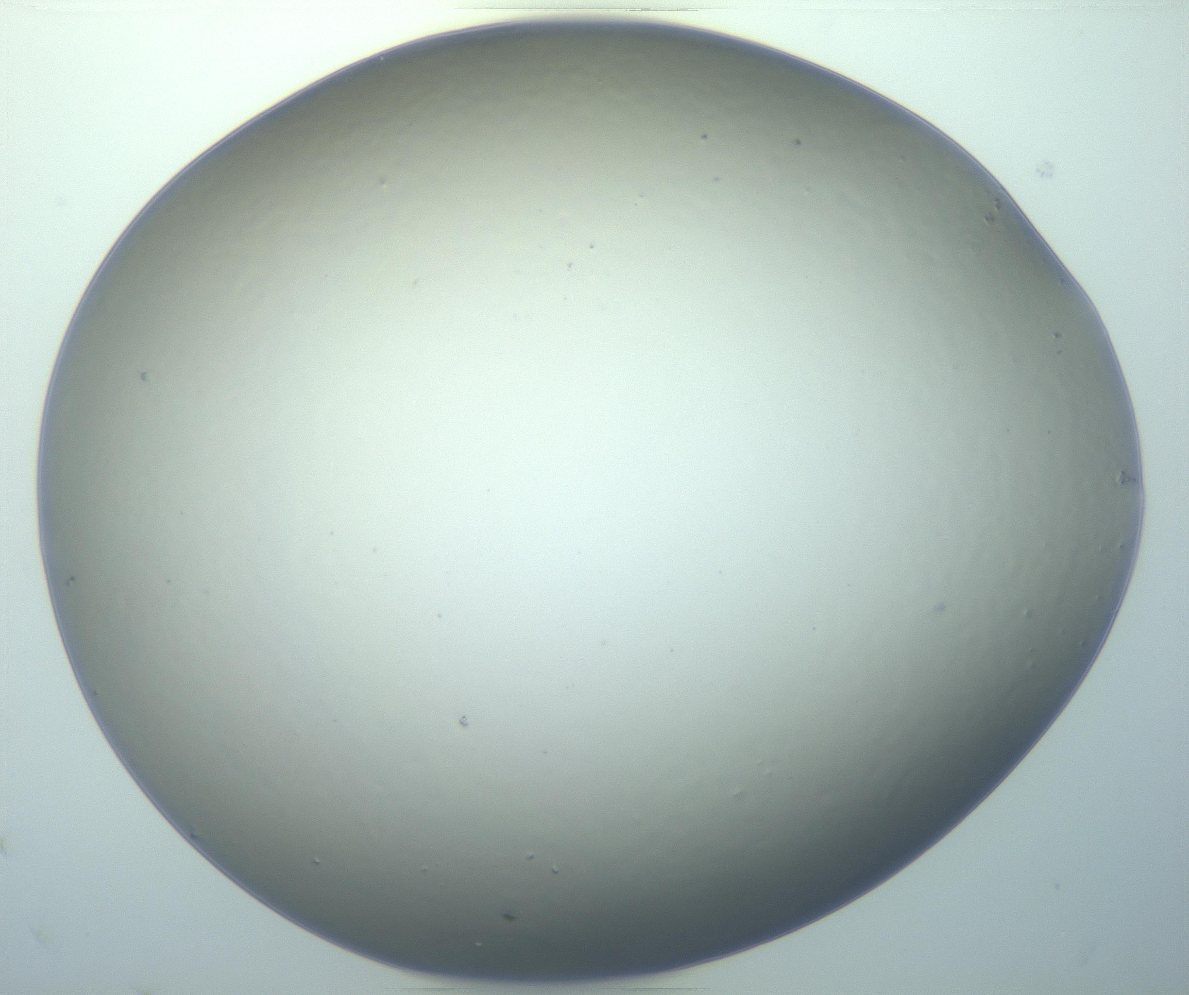 RI01_03_000_0212_Proj1_Clon1_MC_0000MC103119_005_161216_01_04_02_00_99_002_001_RAI.jpg