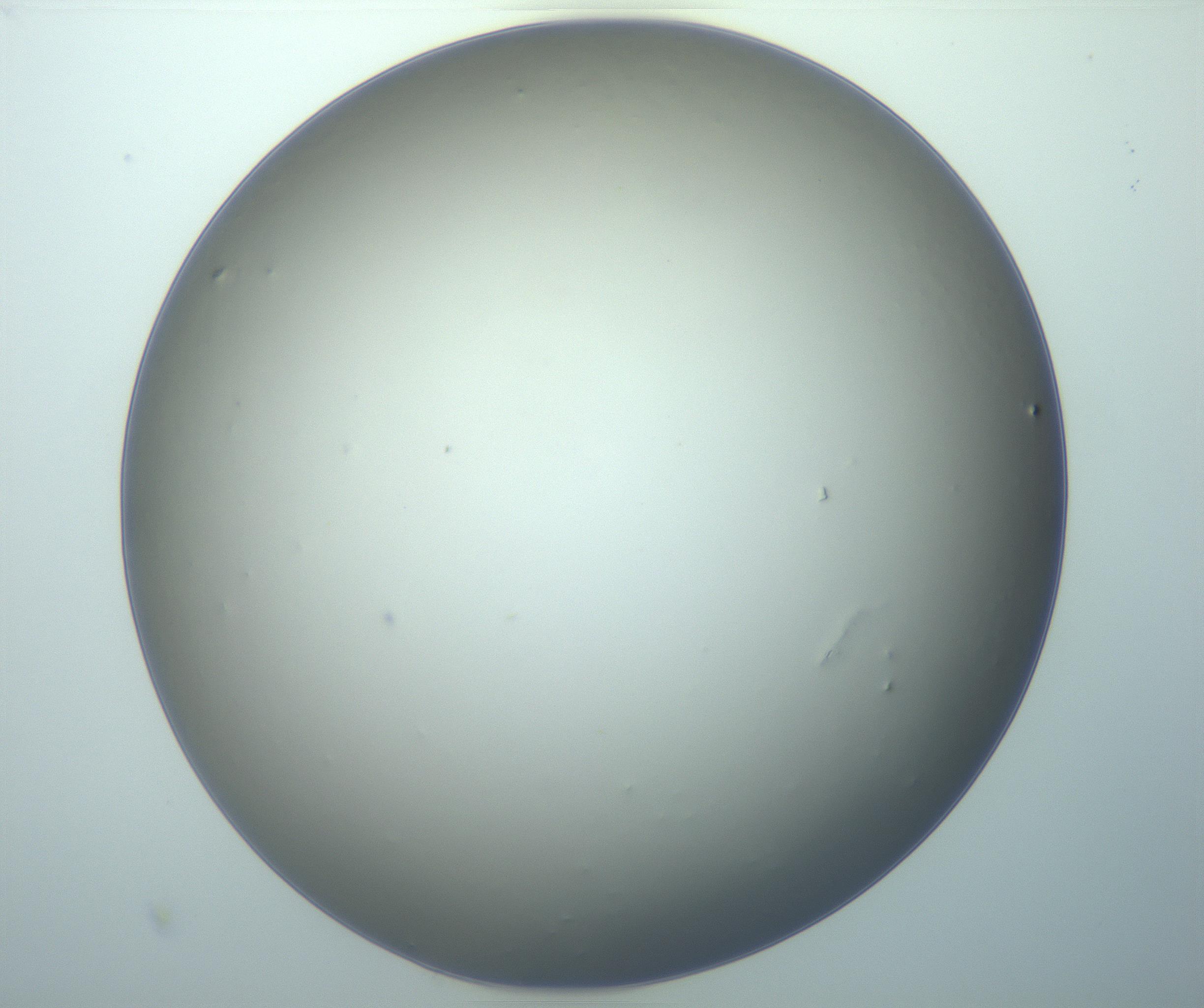 RI01_03_000_0212_Proj1_Clon1_MC_0000MC103119_005_161216_10_03_02_00_99_002_001_RAI.jpg