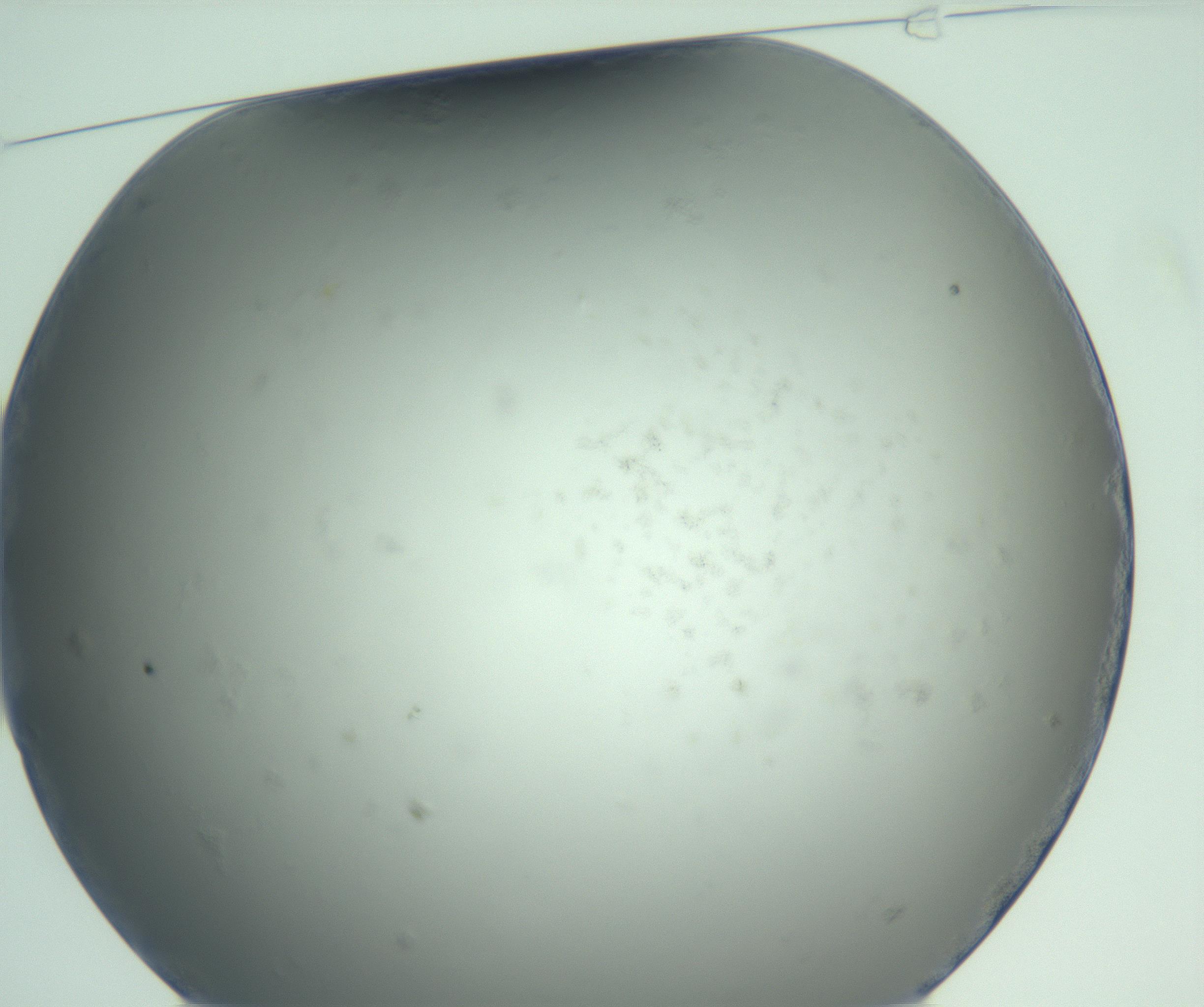 RI01_03_000_0212_Proj1_Clon1_MC_0000MC103121_005_161216_01_01_01_00_99_002_001_RAI.jpg